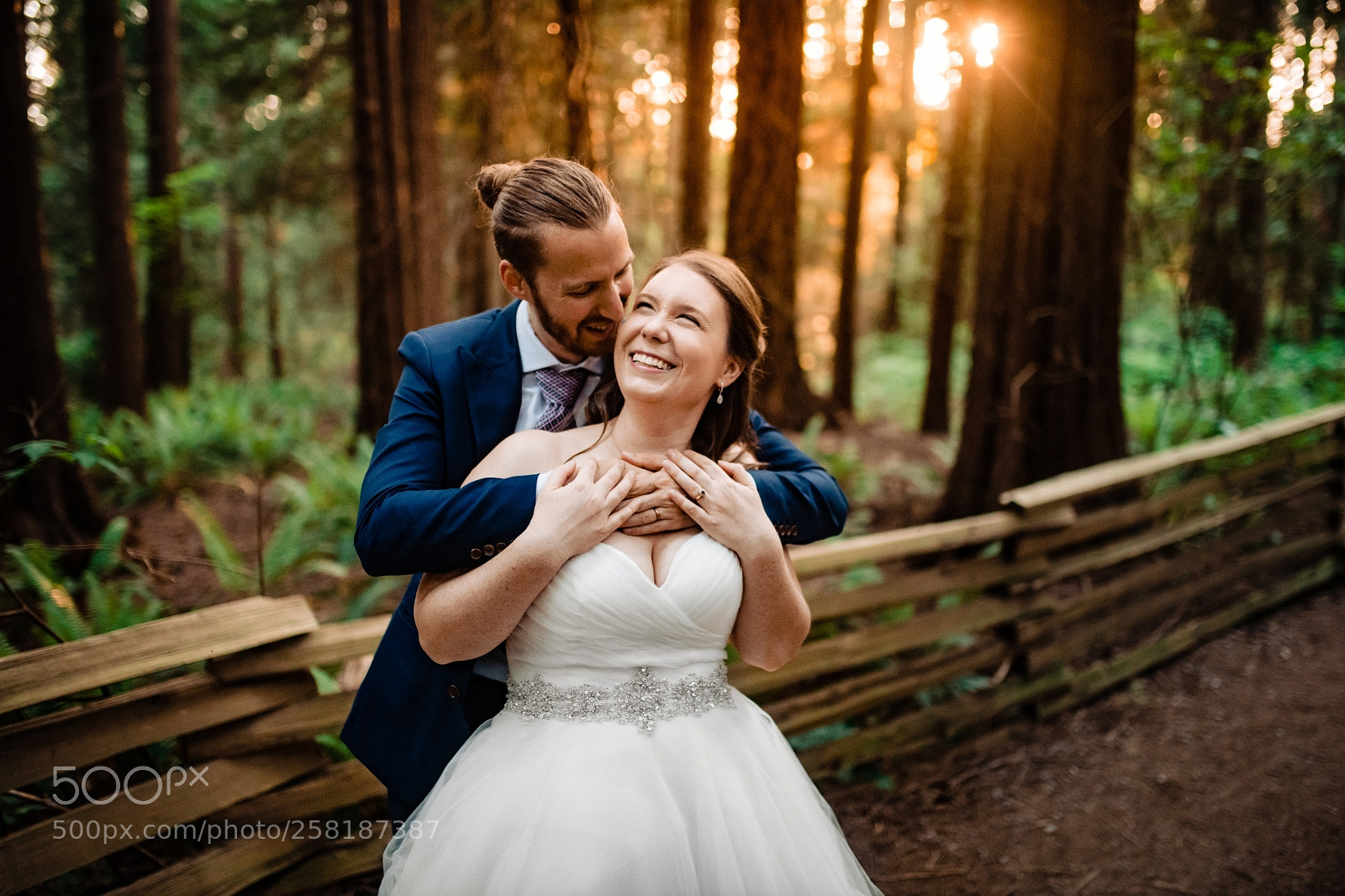 Nikon D850 sample photo. Untitled photography
