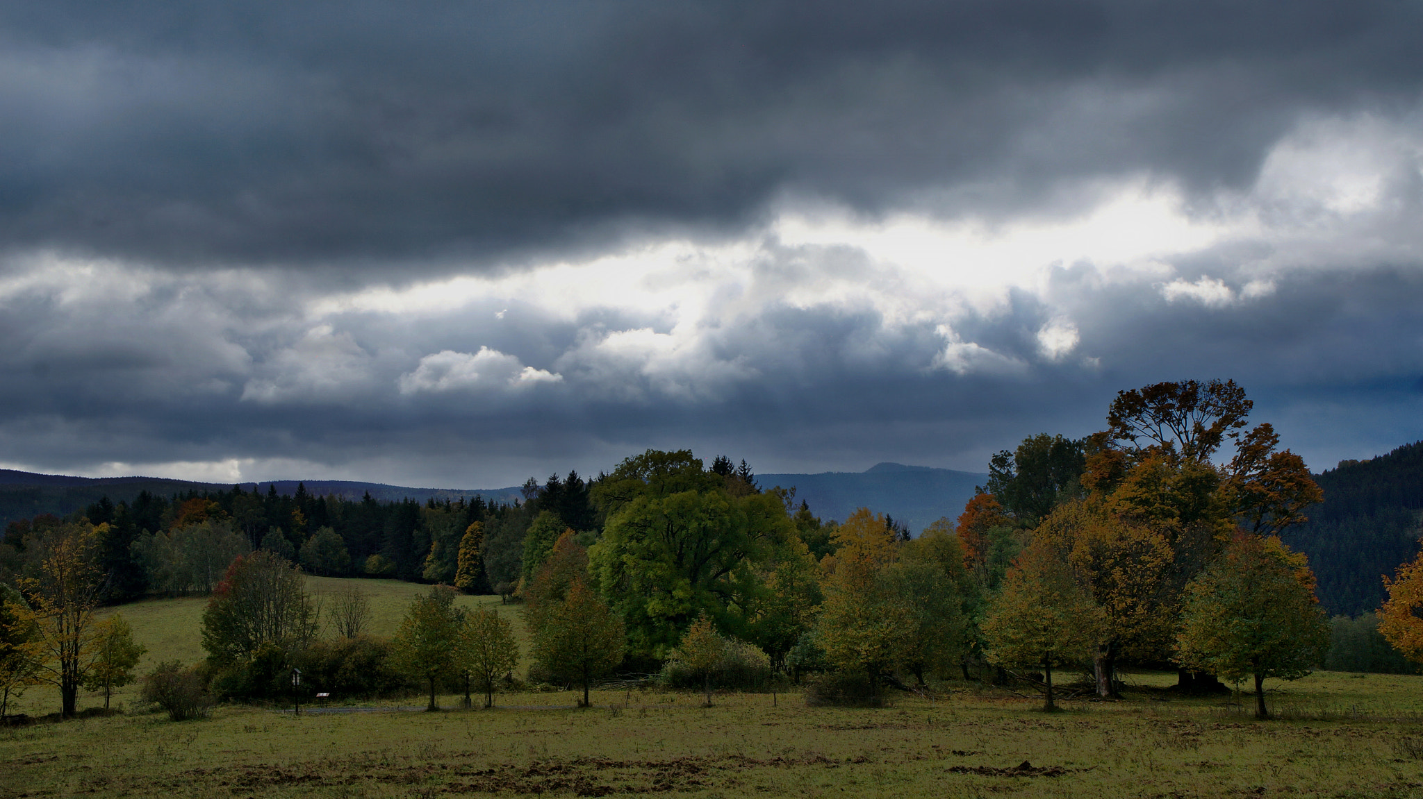 Sony Alpha NEX-5R sample photo. Nature in autumn photography