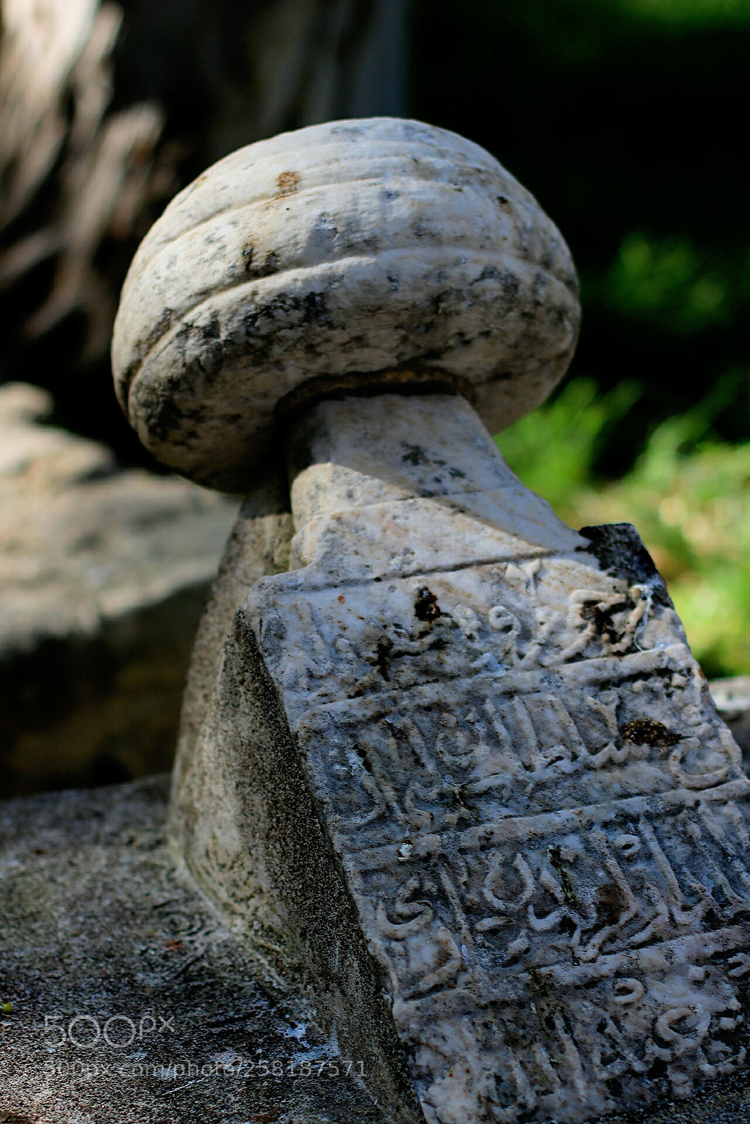 Canon EOS 750D (EOS Rebel T6i / EOS Kiss X8i) sample photo. Getting some rest photography