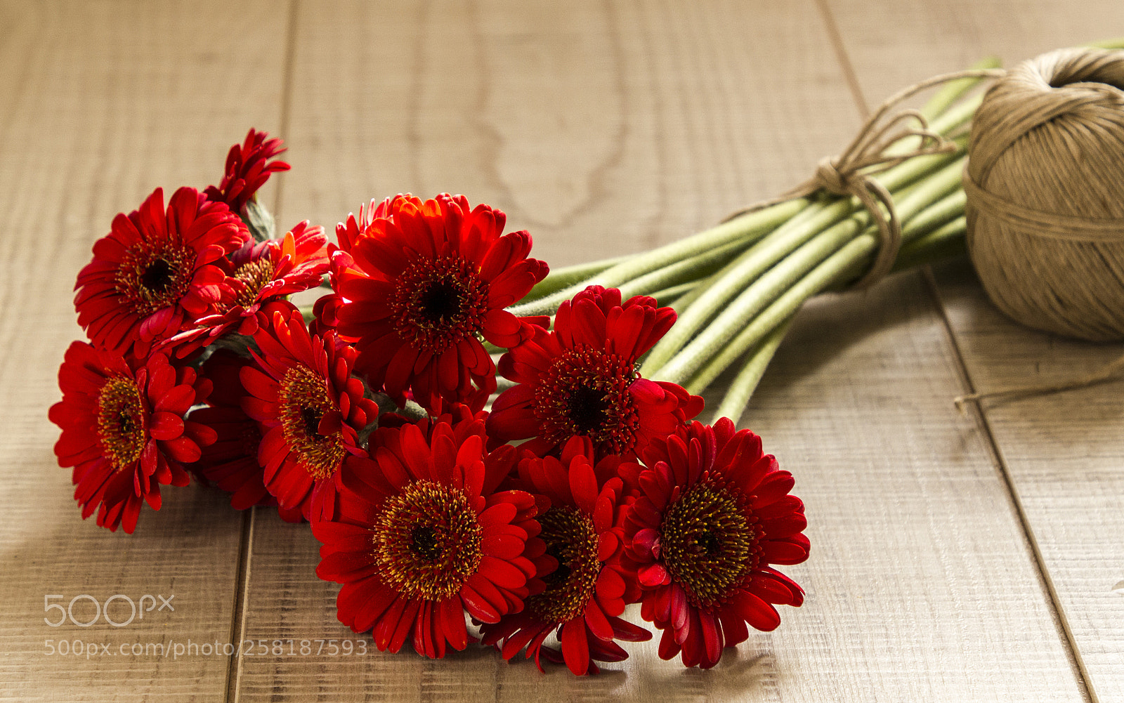 Canon EOS 550D (EOS Rebel T2i / EOS Kiss X4) sample photo. Still life with red photography