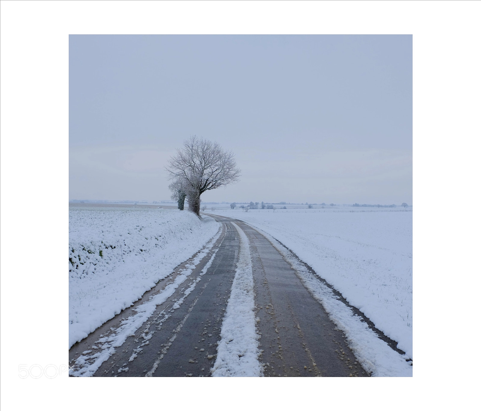 Fujifilm X-M1 sample photo. Snow photography