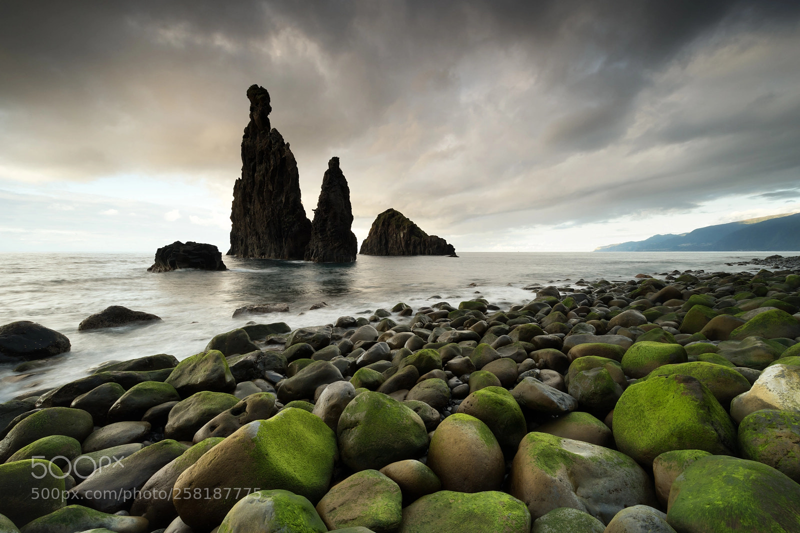 Nikon D850 sample photo. Sea stacks of madeira photography