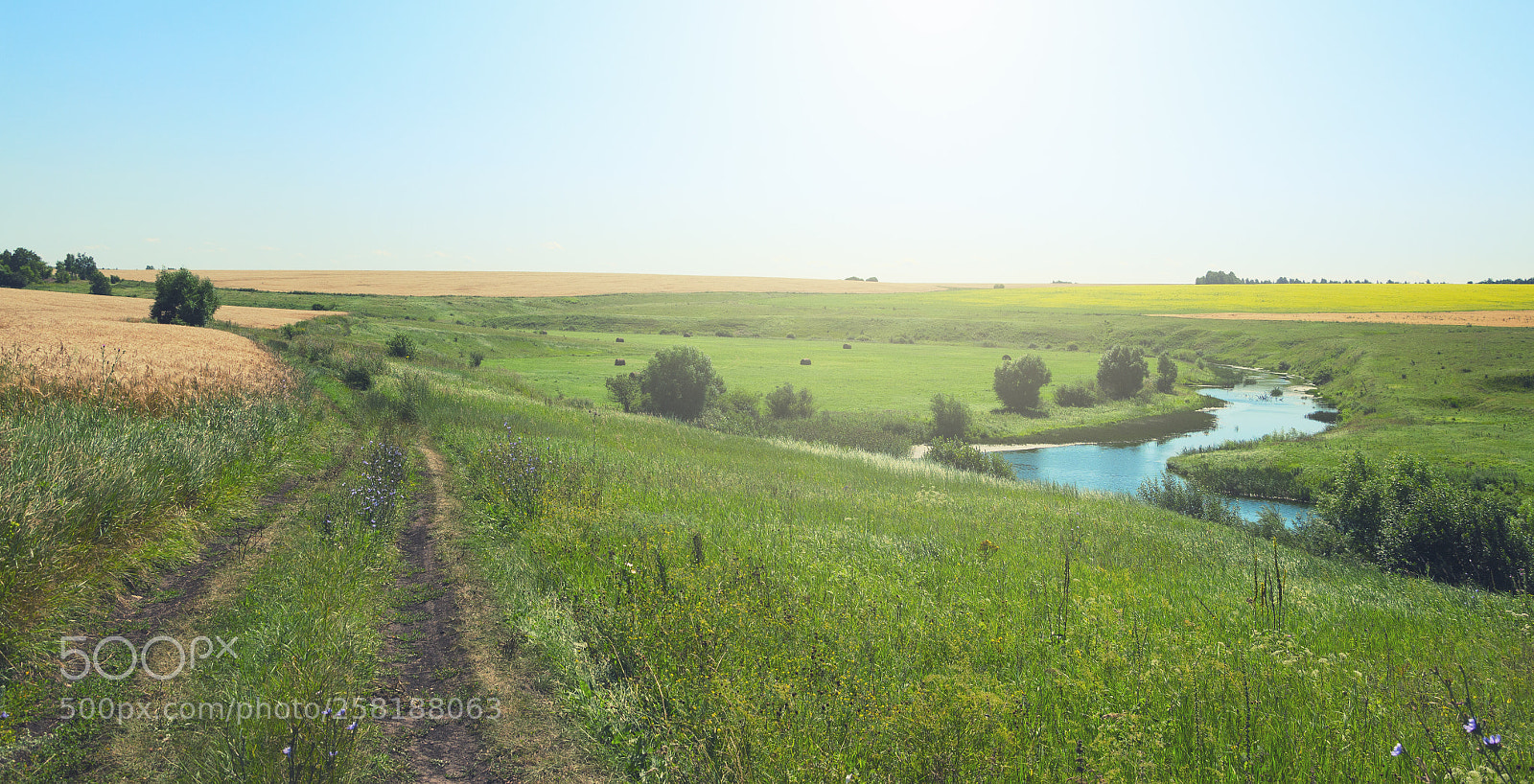 Nikon D5100 sample photo. Sunny landscape photography