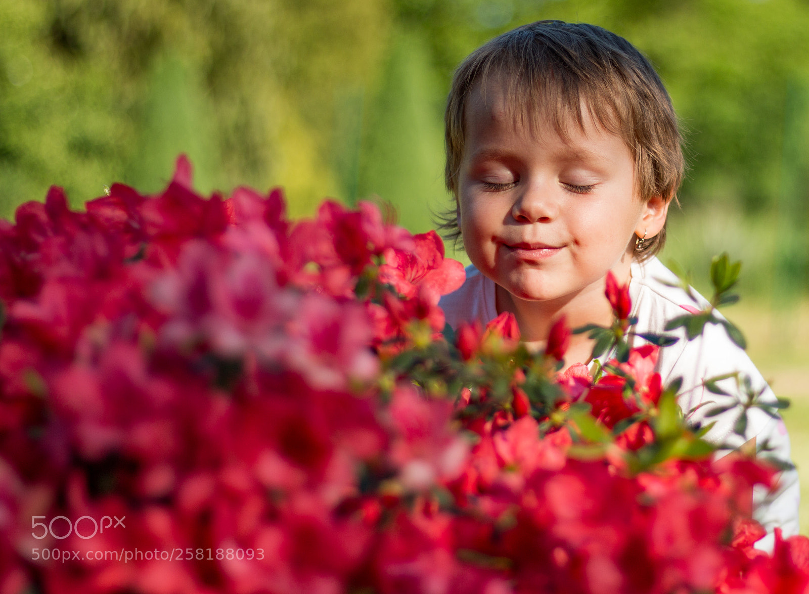 Canon EOS 70D sample photo. Amy with flowers photography