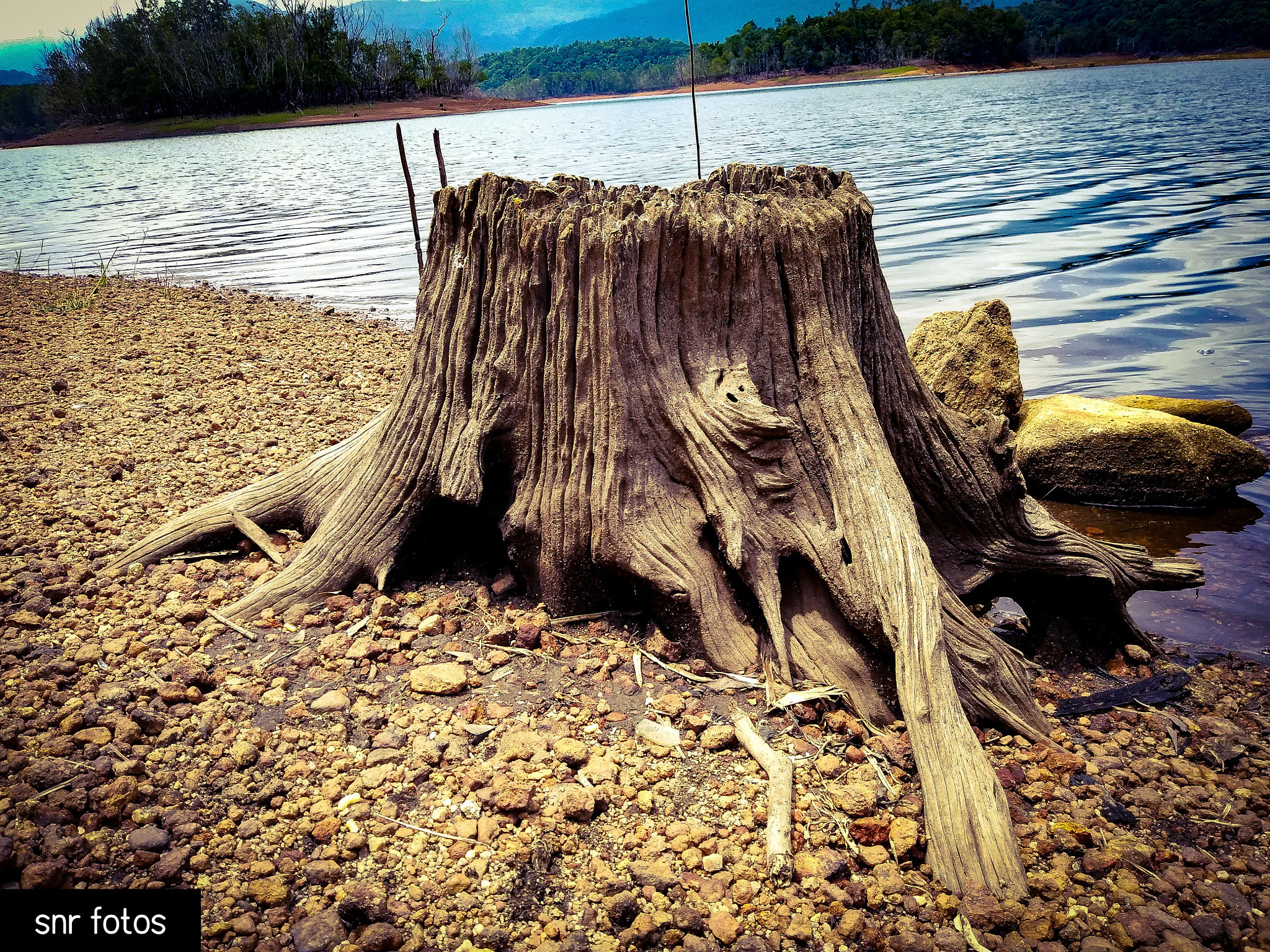 LG Q6 sample photo. Cut off... photography