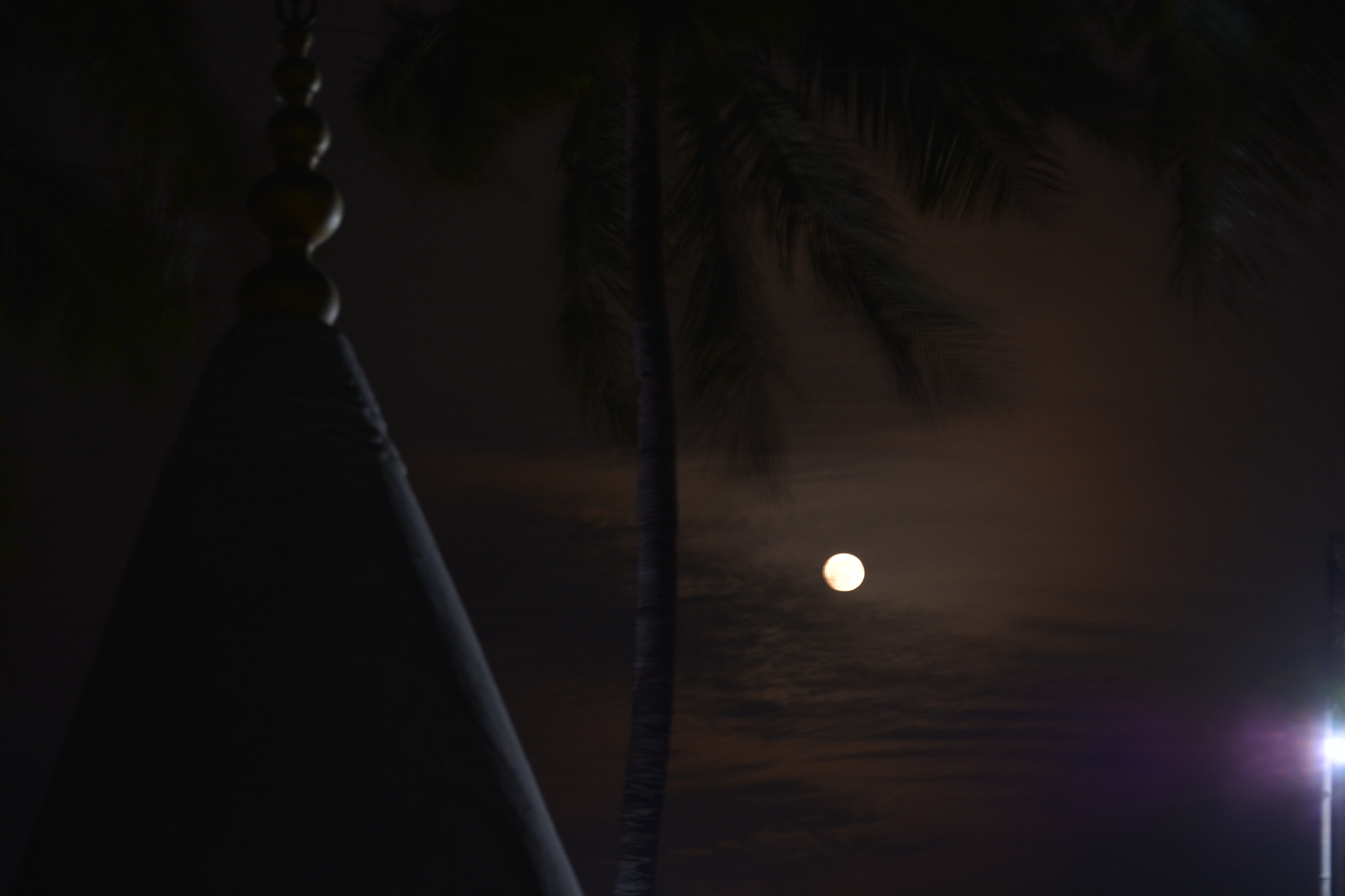 Nikon D5200 sample photo
