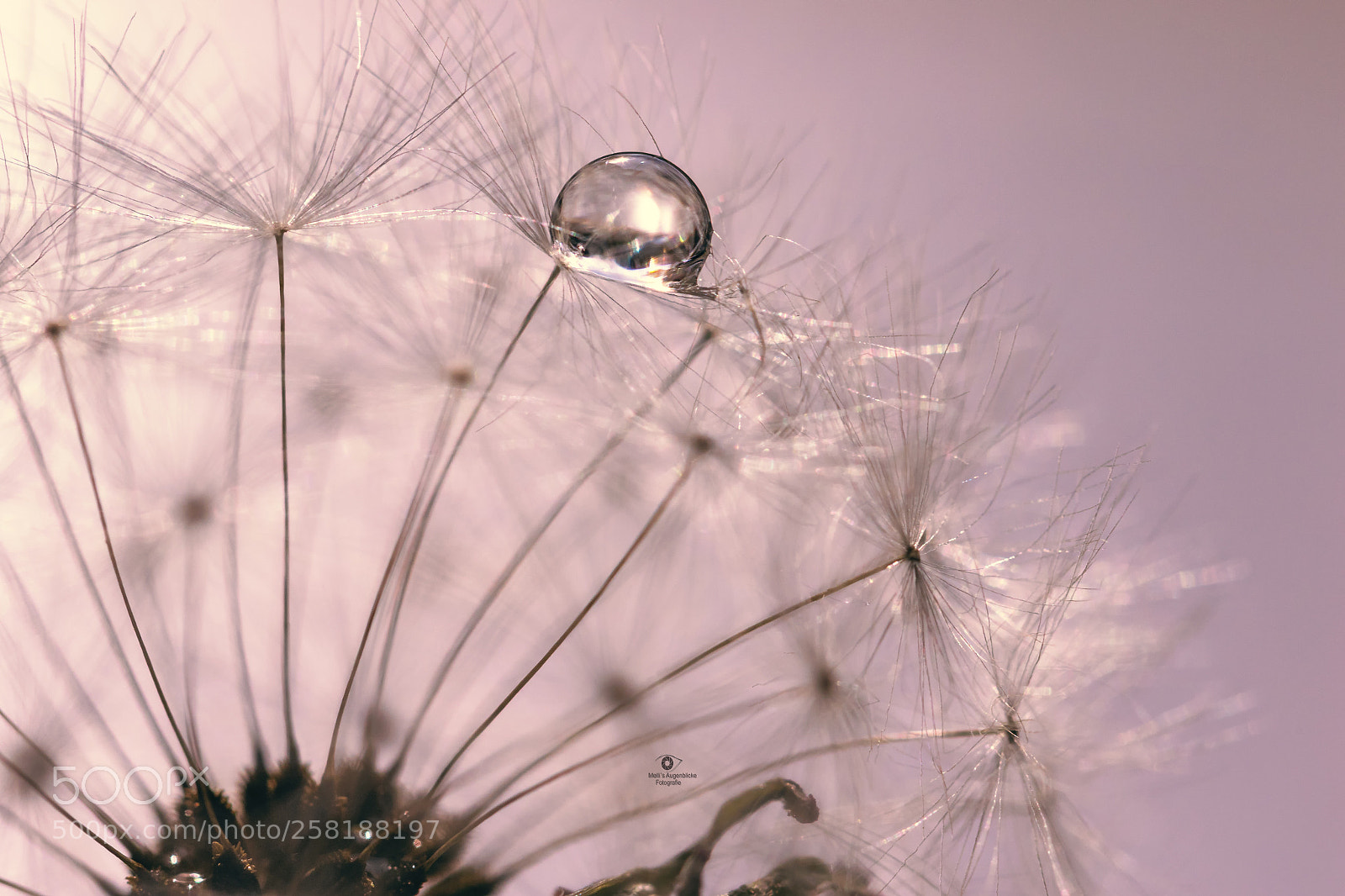Canon EOS 7D Mark II sample photo. Waterdrop photography