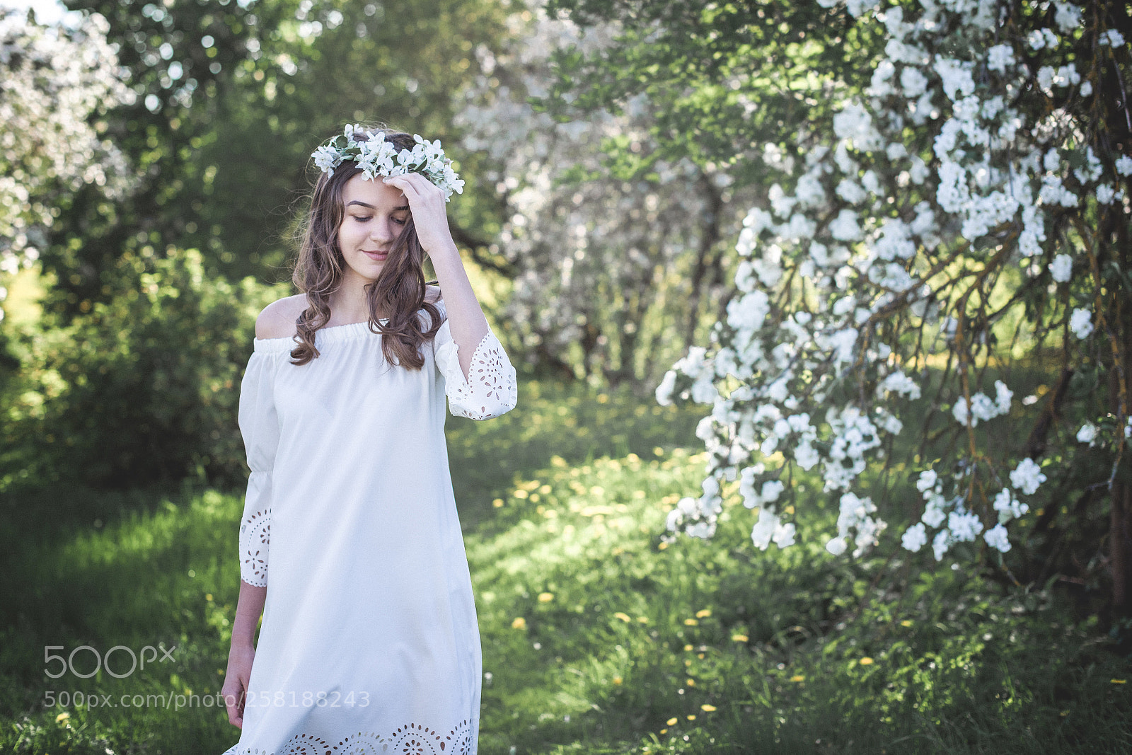 Nikon D750 sample photo. Spring mood photography
