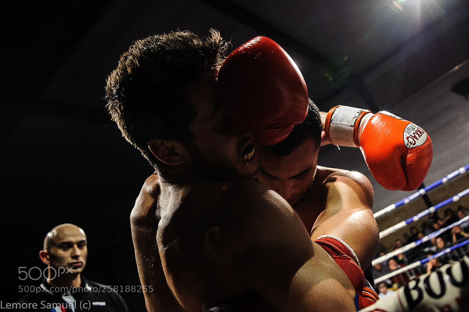 Nikon D700 sample photo. Fight to remember vi photography