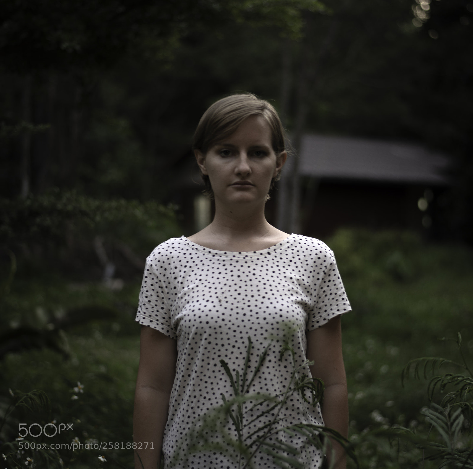 Nikon D810 sample photo. Village photography