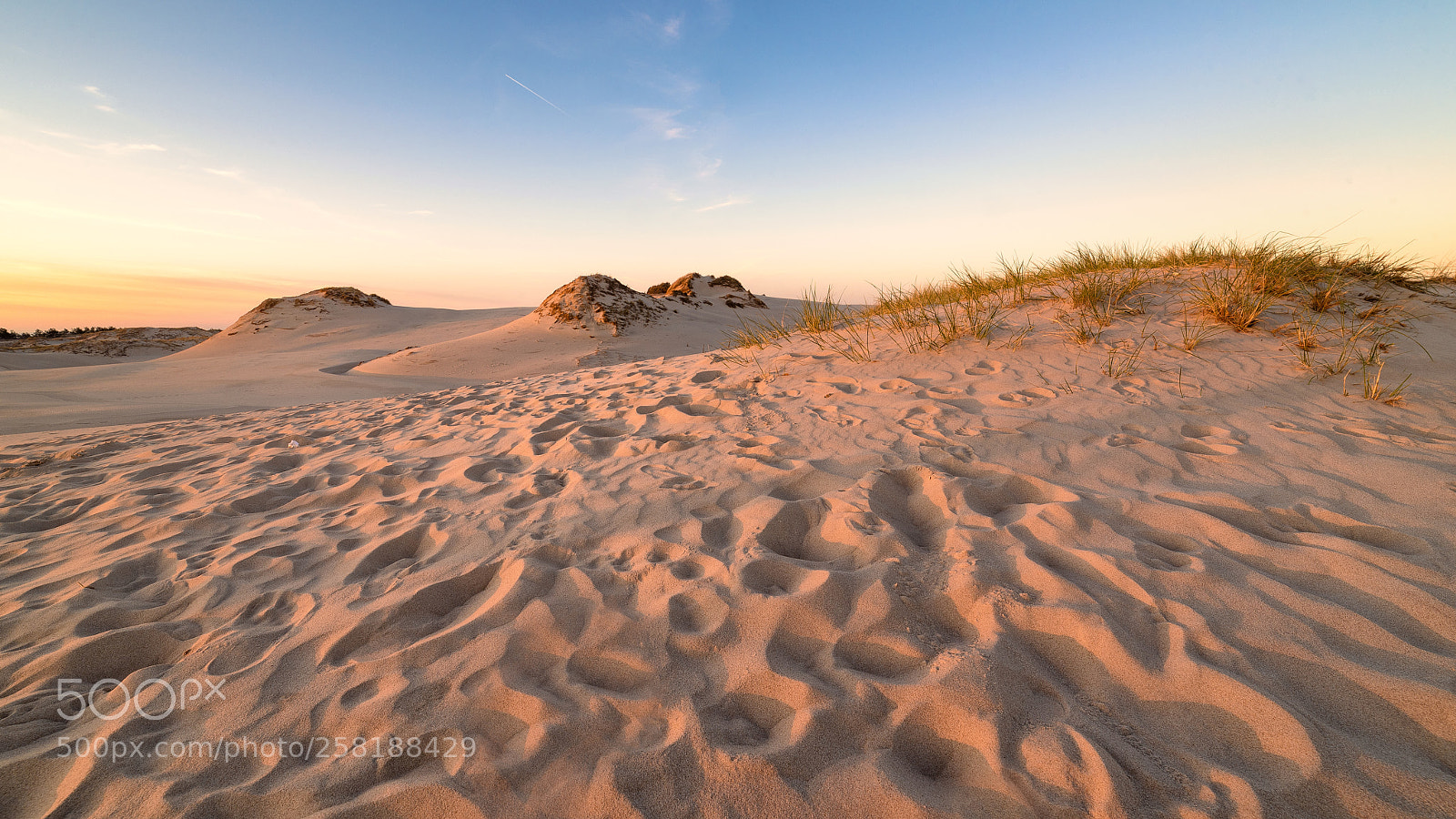 Nikon D750 sample photo. Desert near Łeba photography