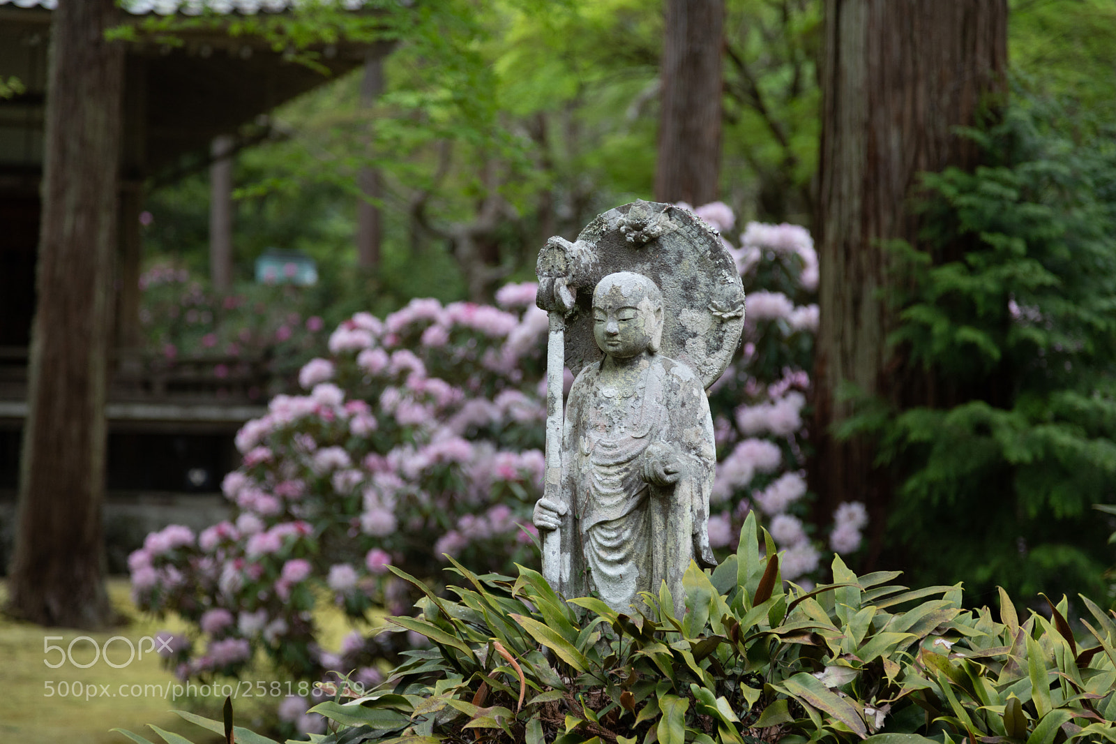 Canon EOS 6D Mark II sample photo. 三千院のお地蔵様 photography