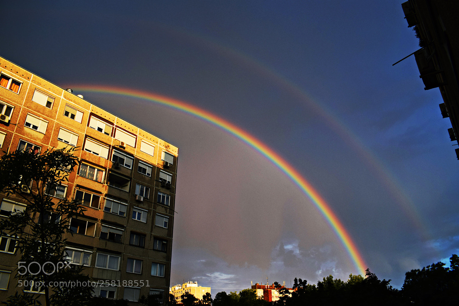 Nikon D3300 sample photo. Rainbow photography