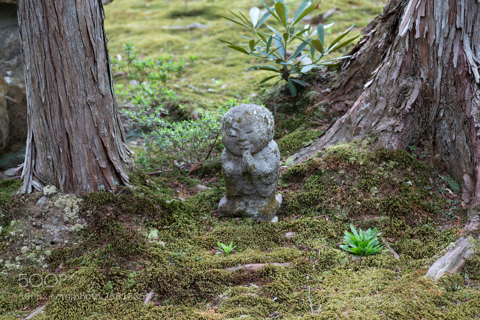 Canon EOS 6D Mark II sample photo. 三千院のお地蔵様 photography