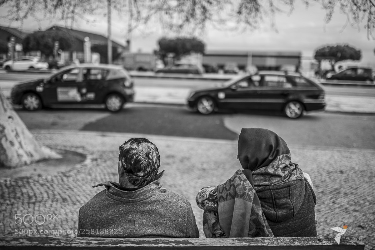Nikon D800E sample photo. The watchers photography