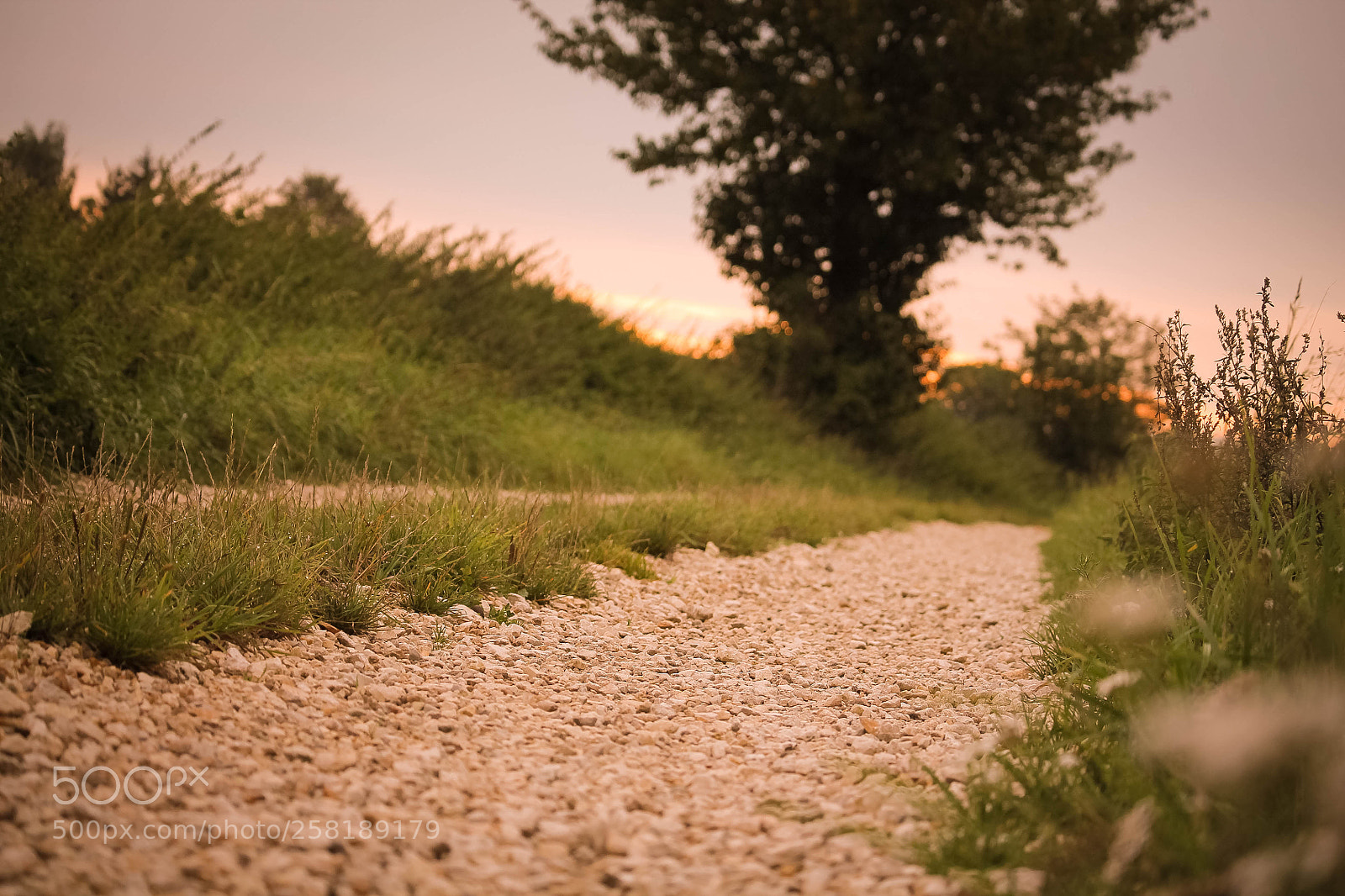 Canon EOS 1100D (EOS Rebel T3 / EOS Kiss X50) sample photo. Rural sunset photography