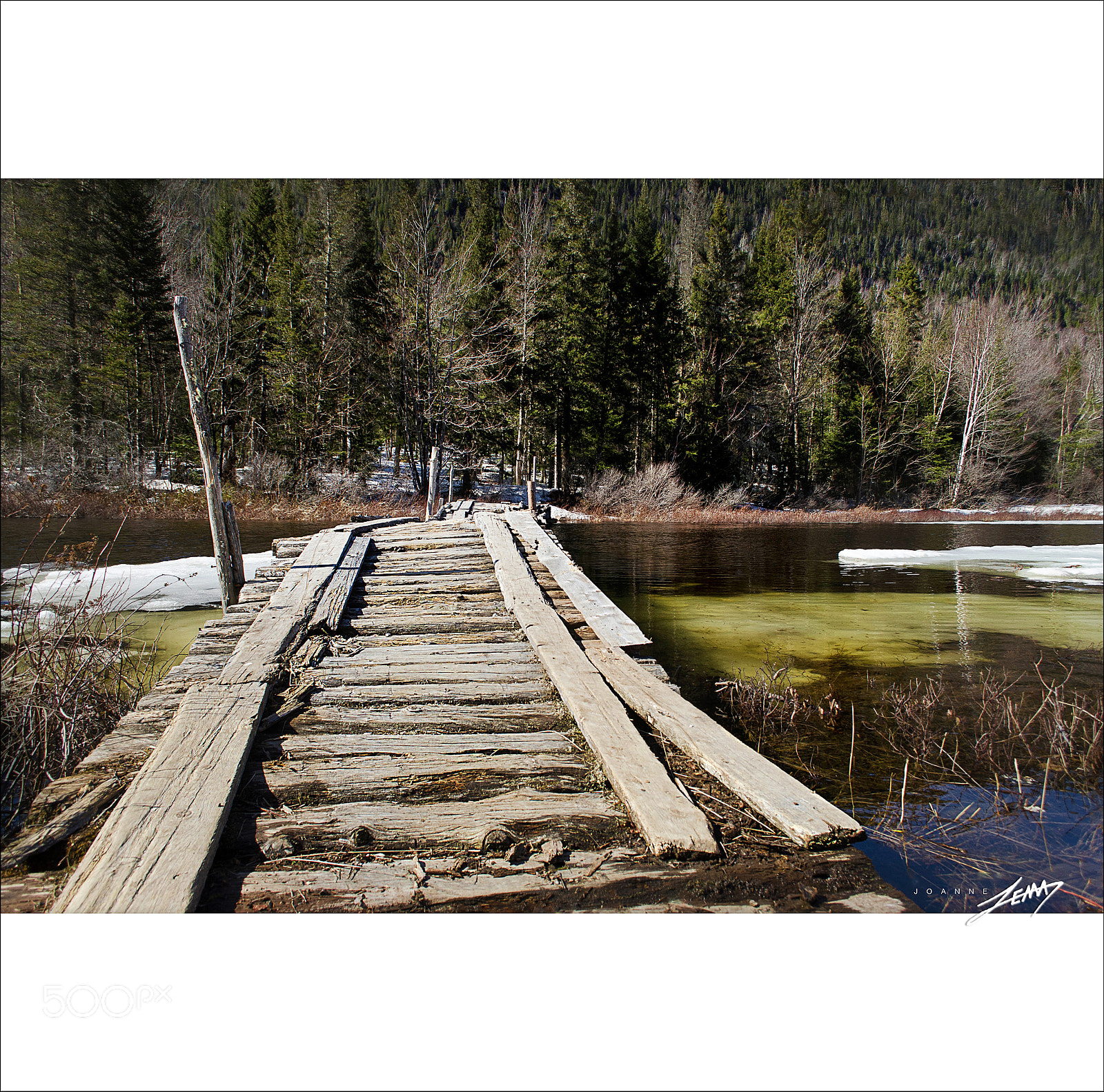 Nikon D3100 sample photo. Le pont de fortune photography