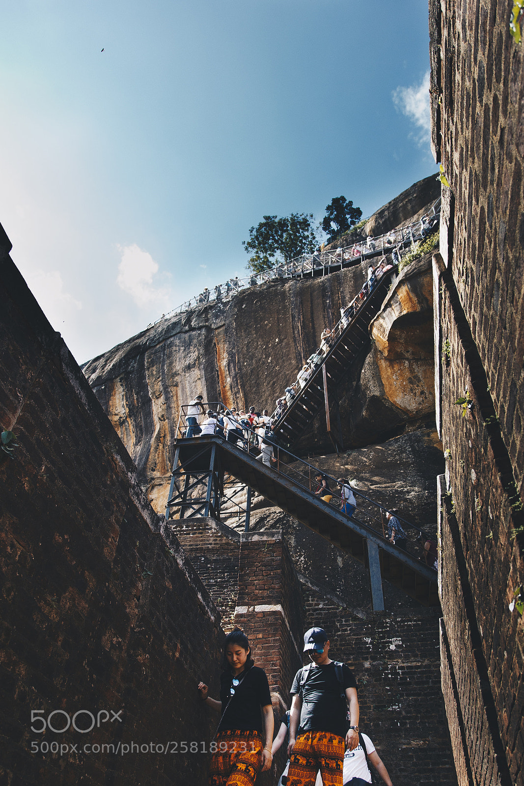 Canon EOS 6D sample photo. Way up photography