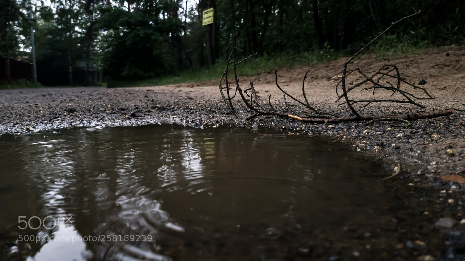 Samsung Galaxy S8 sample photo. Puddle photography