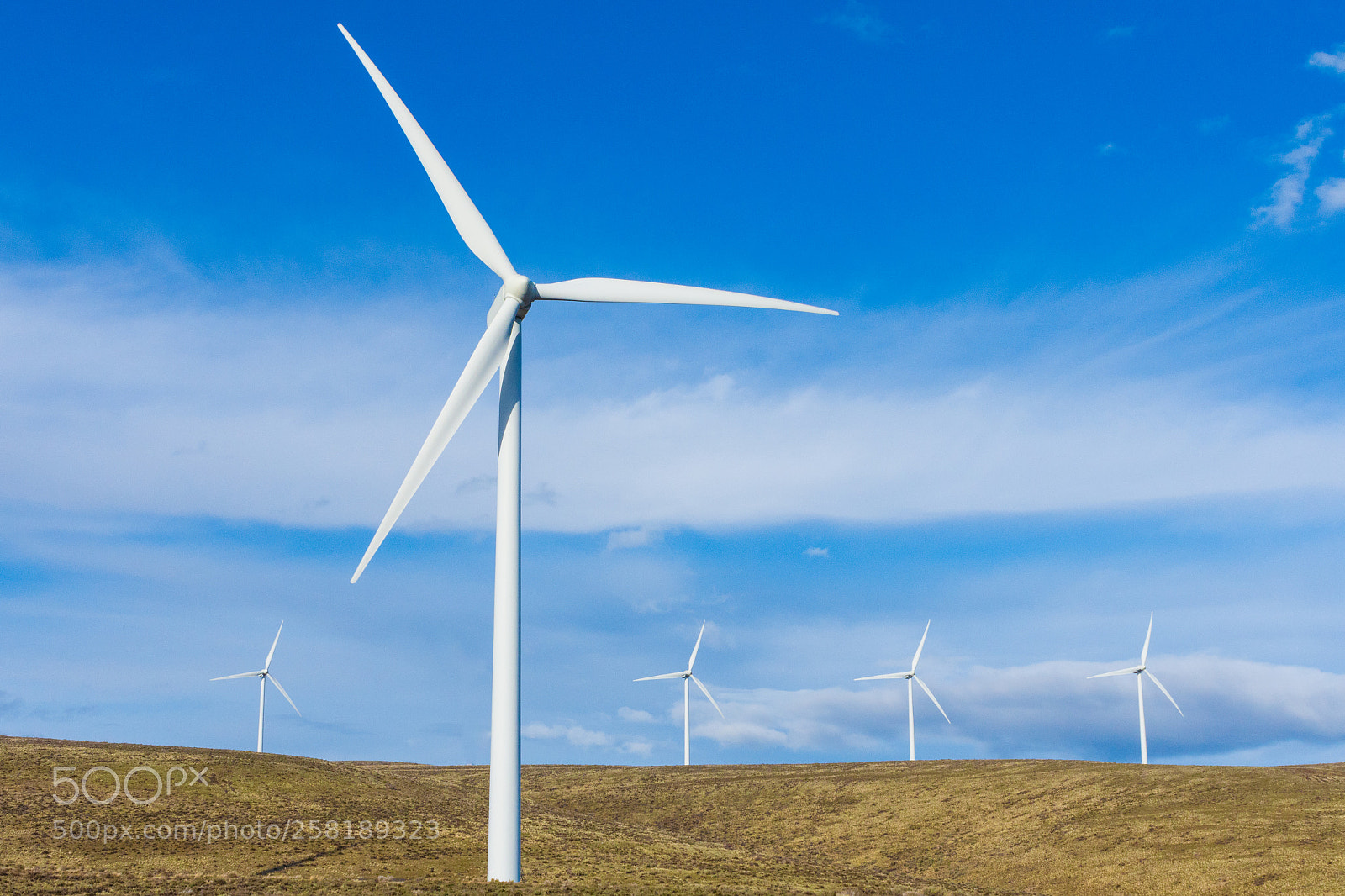 Nikon D7200 sample photo. An array of windmills photography