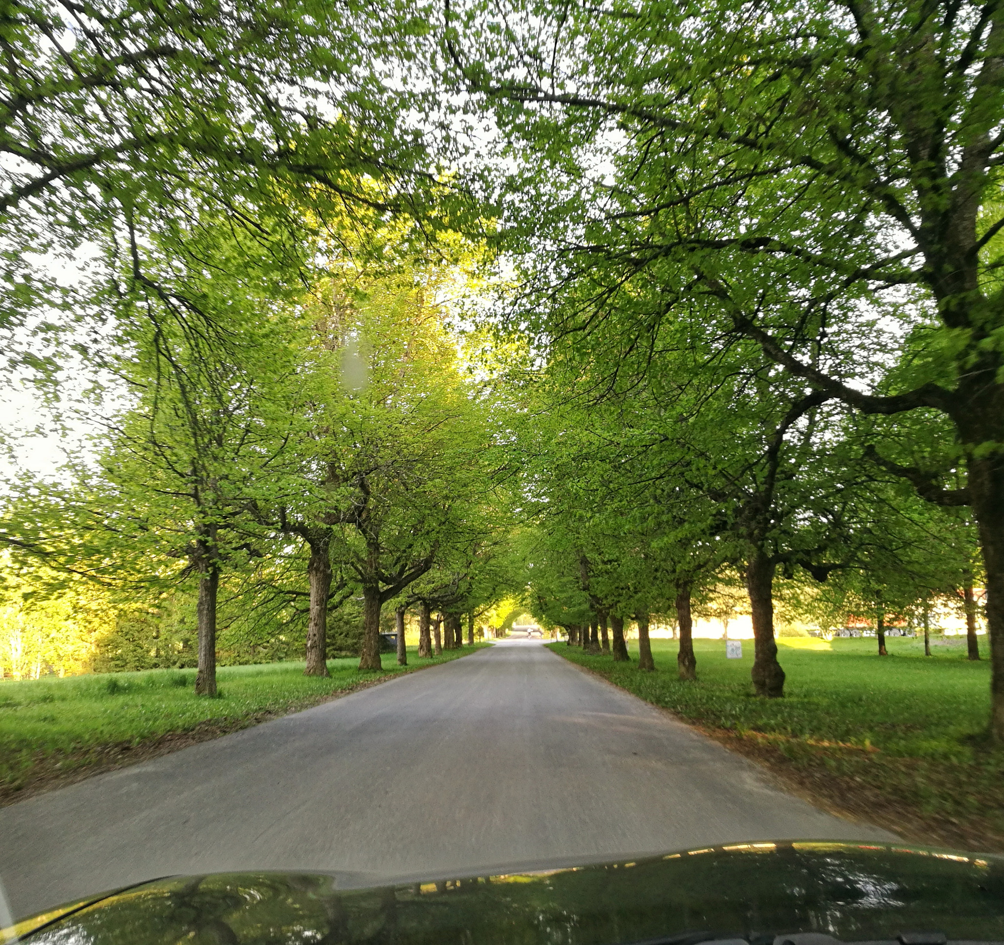 HUAWEI Honor 8 sample photo. Whatroadsshouldlooklike:) photography
