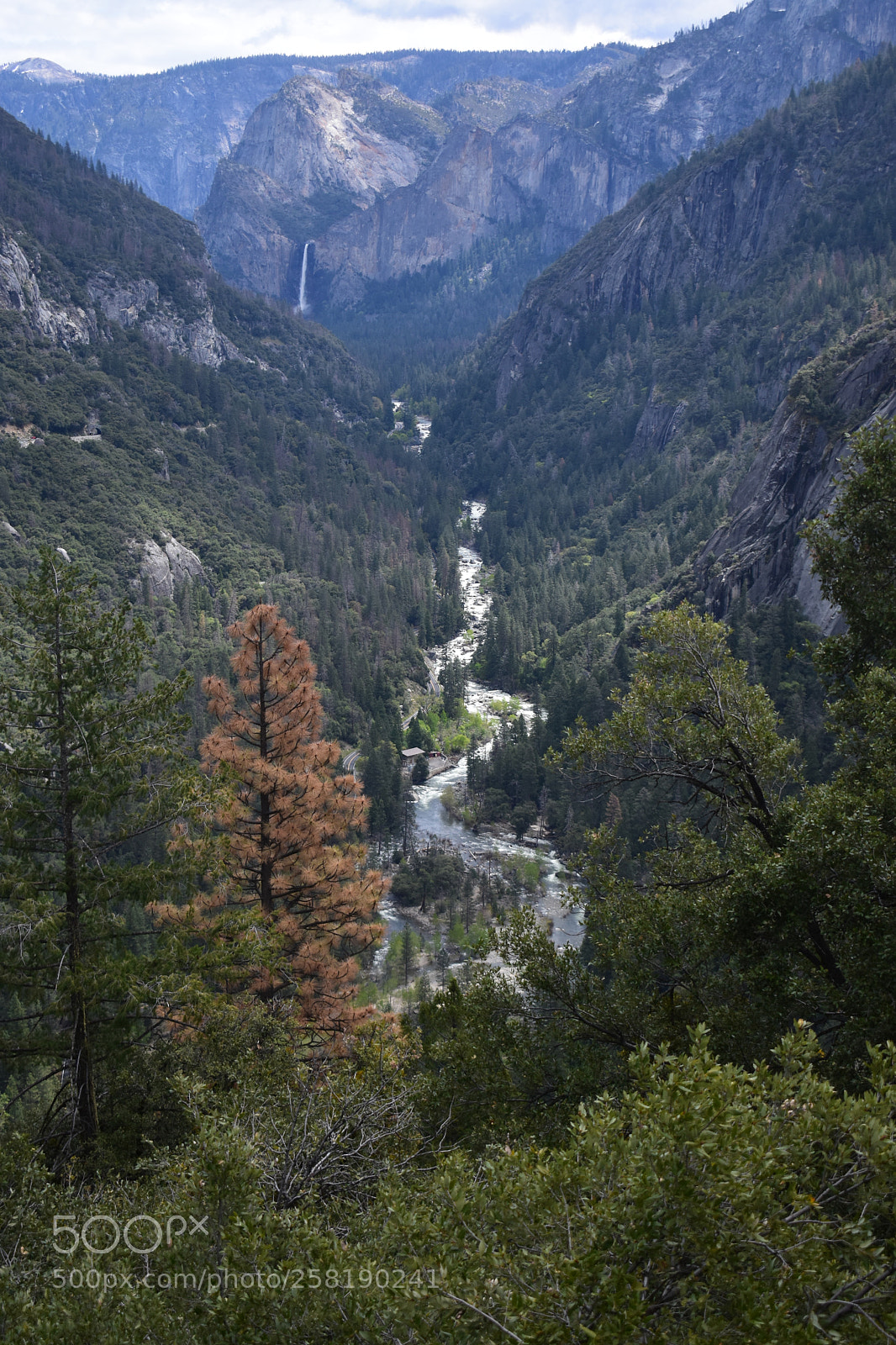 Nikon D3400 sample photo. Yosemite national park photography
