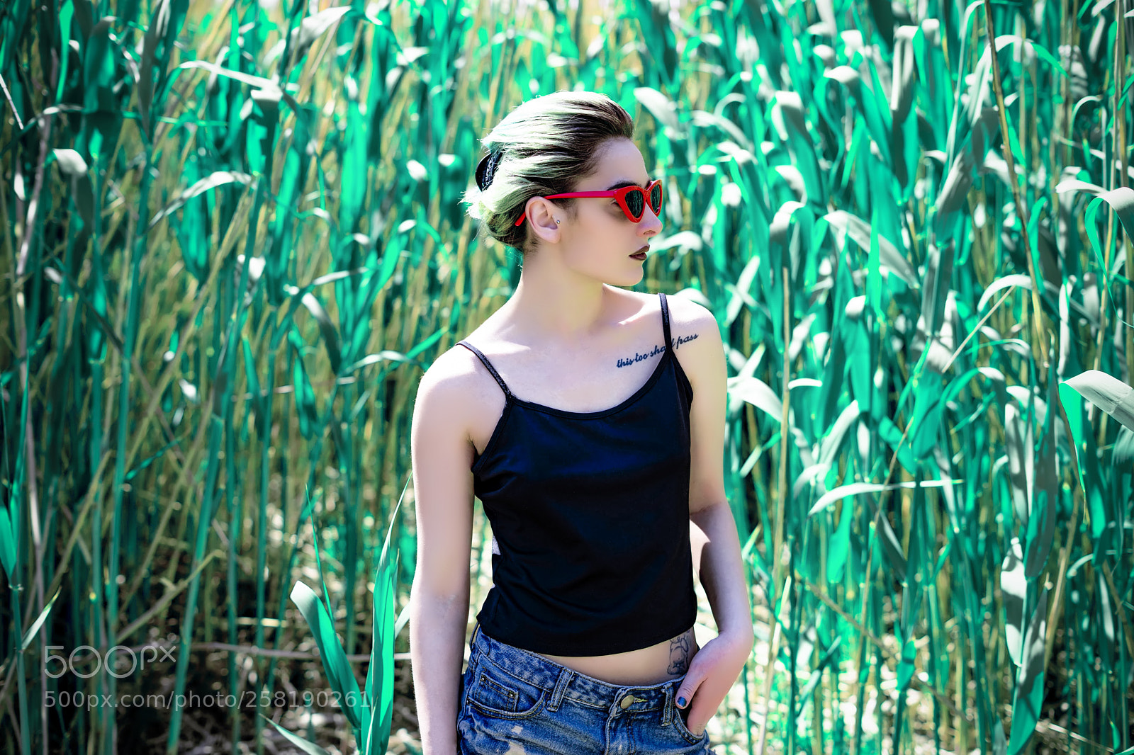 Sony a7 sample photo. Summer mood photography