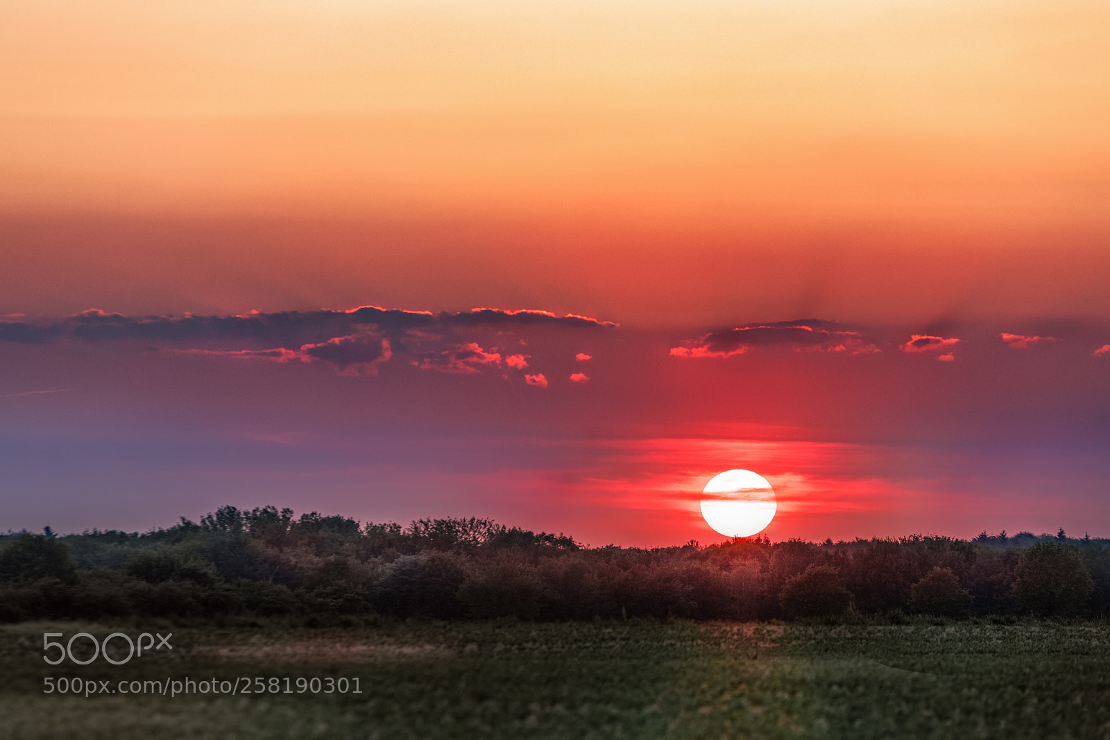 Canon EOS 6D Mark II sample photo. Sunview photography
