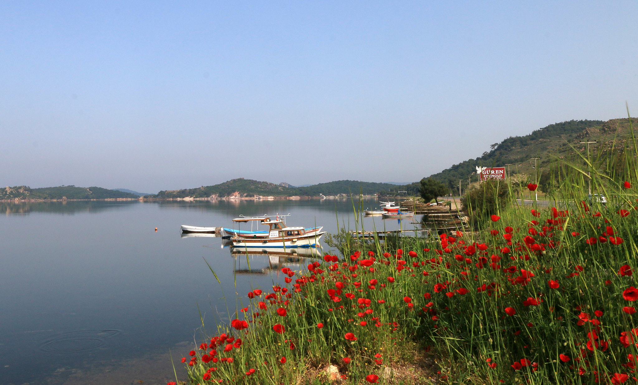 Canon EF-S 10-22mm F3.5-4.5 USM sample photo. Ayvalık..türkiye photography