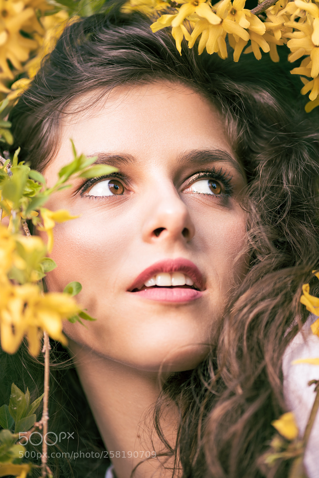 Nikon D810 sample photo. Julie flowers photography