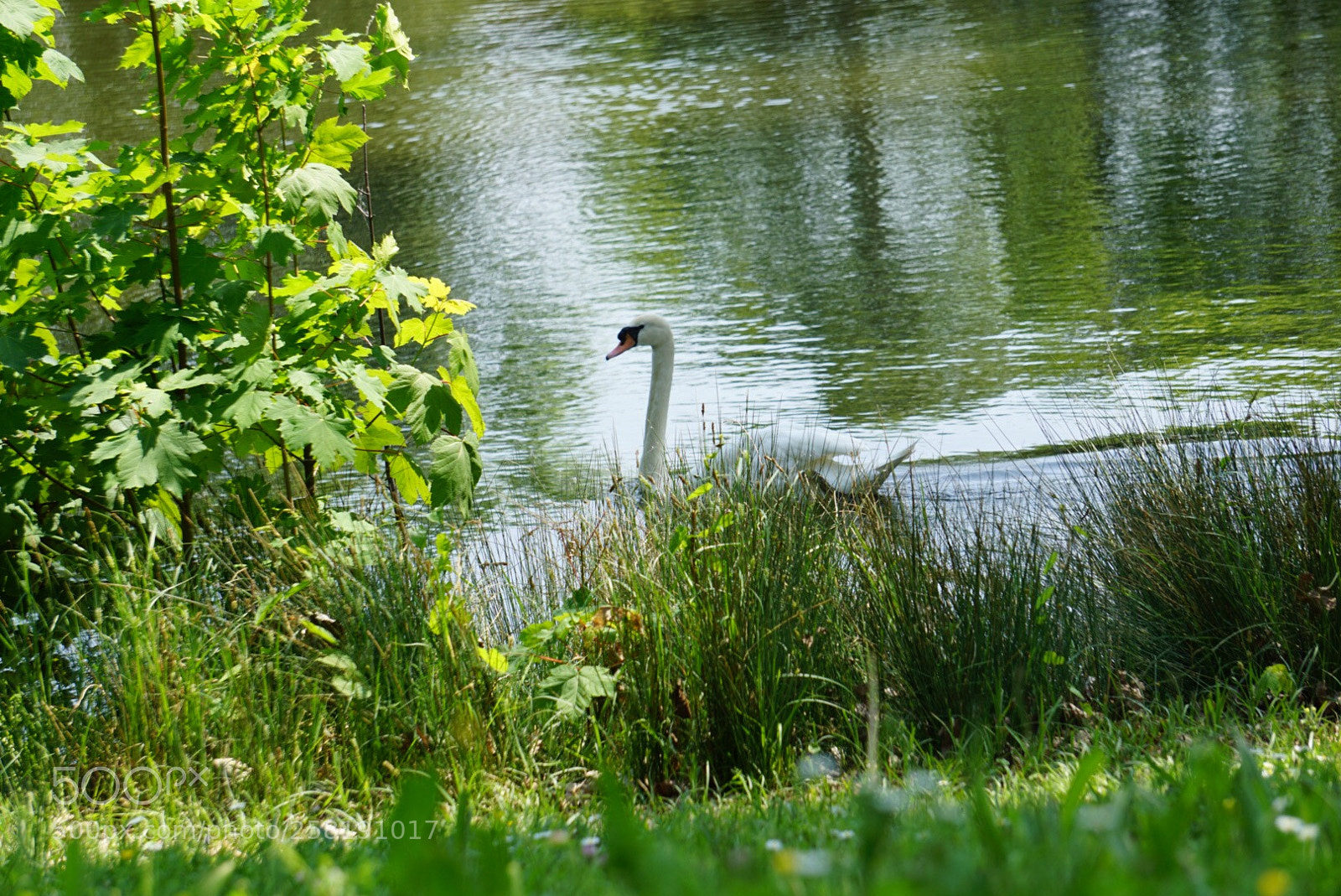 Sony a6000 sample photo. Untitled photography