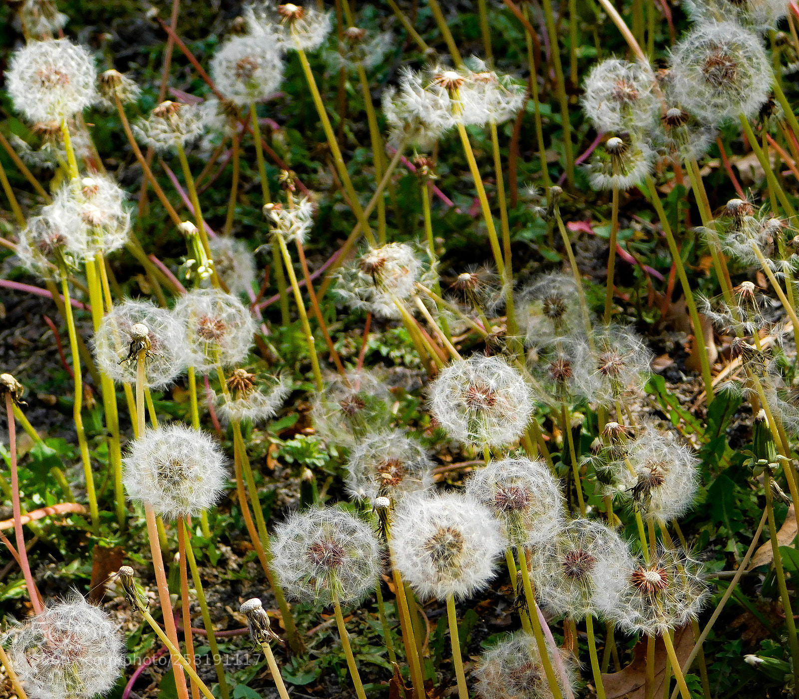 Nikon Coolpix B500 sample photo. Untitled photography
