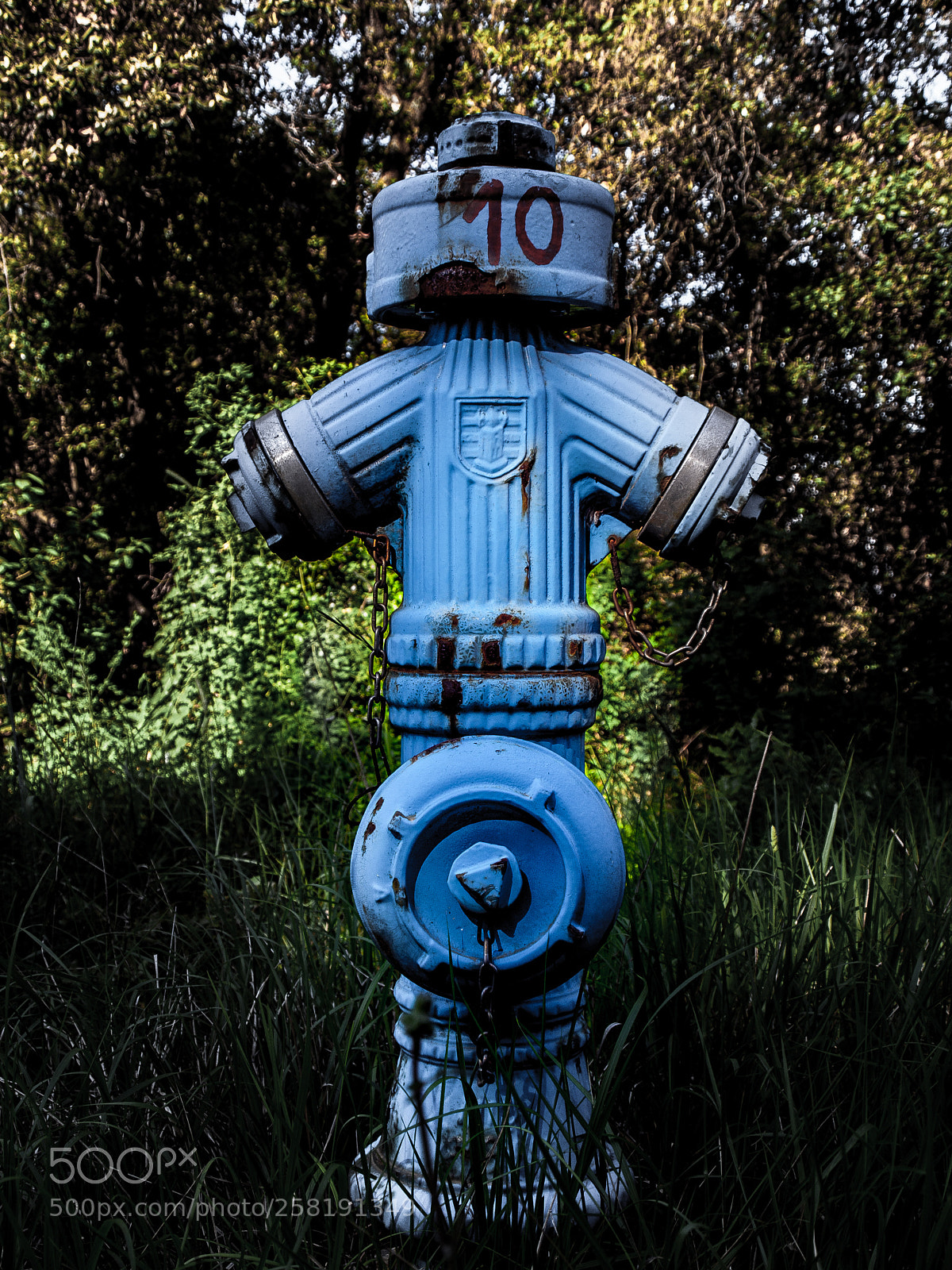 Olympus E-510 (EVOLT E-510) sample photo. Hydrant photography