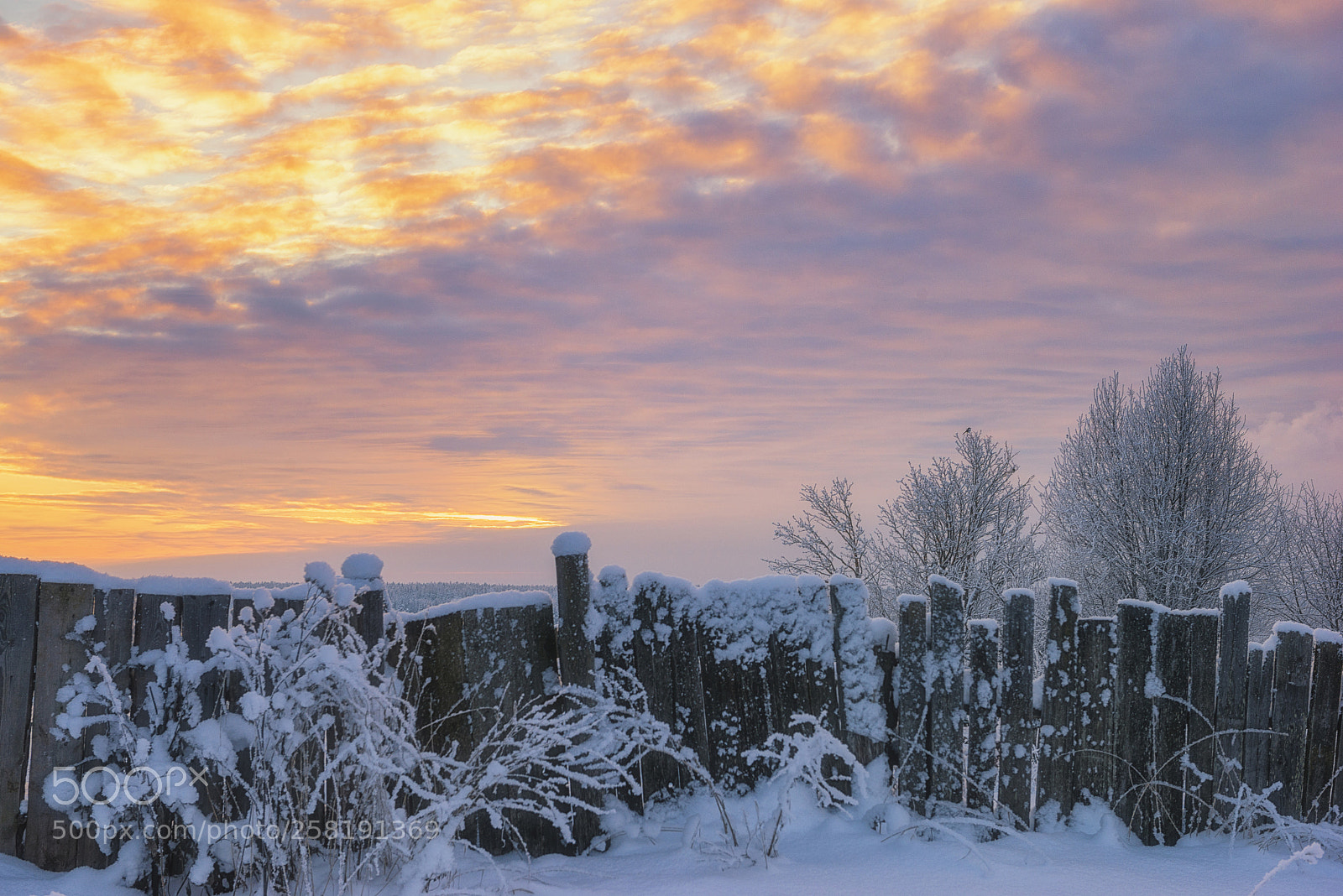 Nikon D610 sample photo. 924. winter in the photography