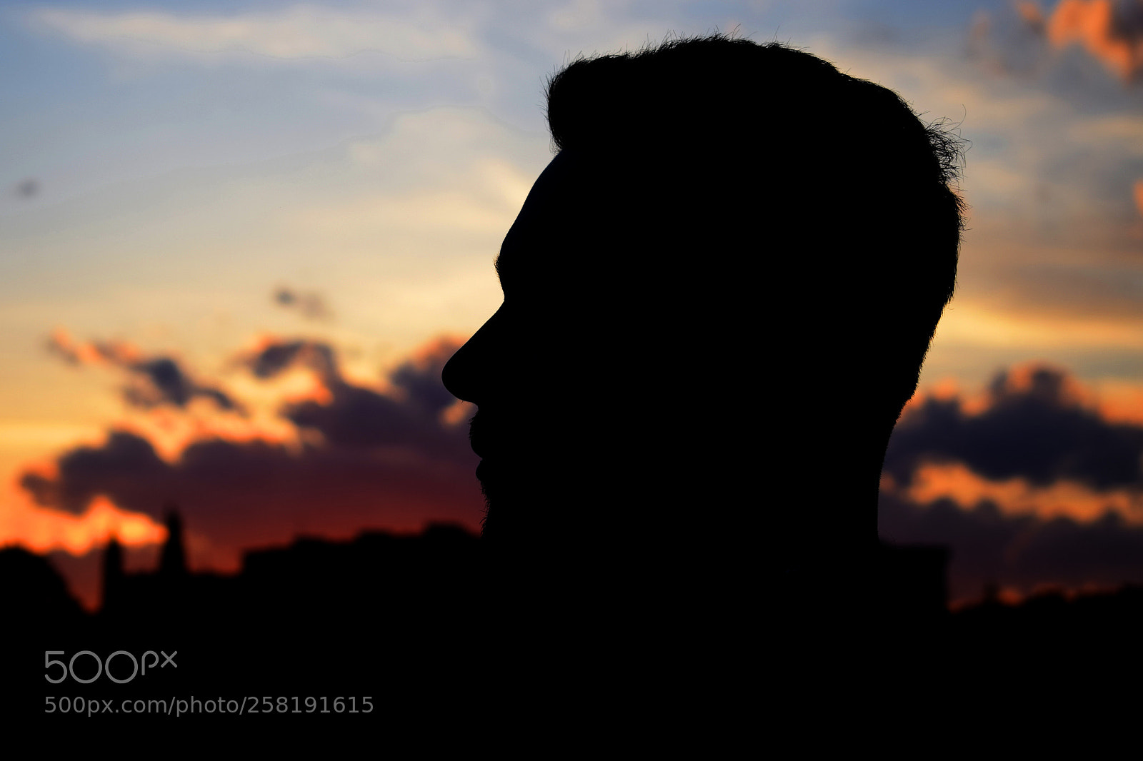 Nikon D5300 sample photo. Silhouette photography