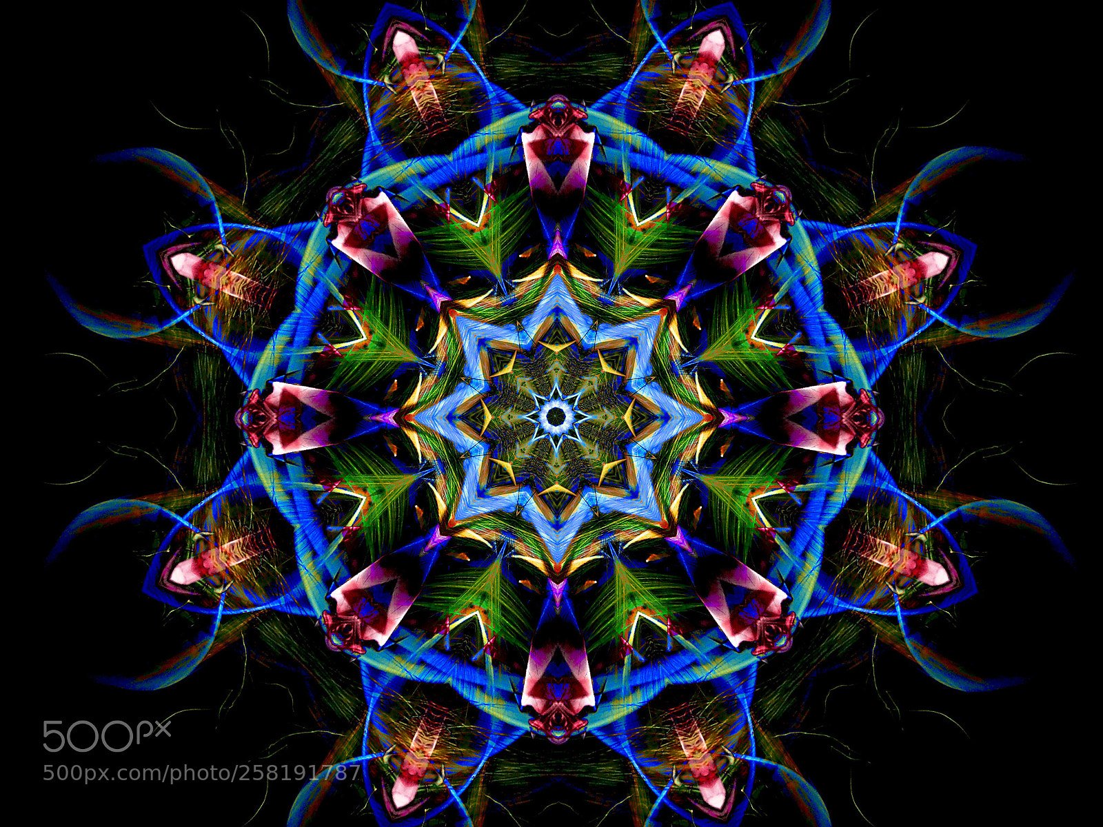 Olympus OM-D E-M1 sample photo. Lightpainting art photography