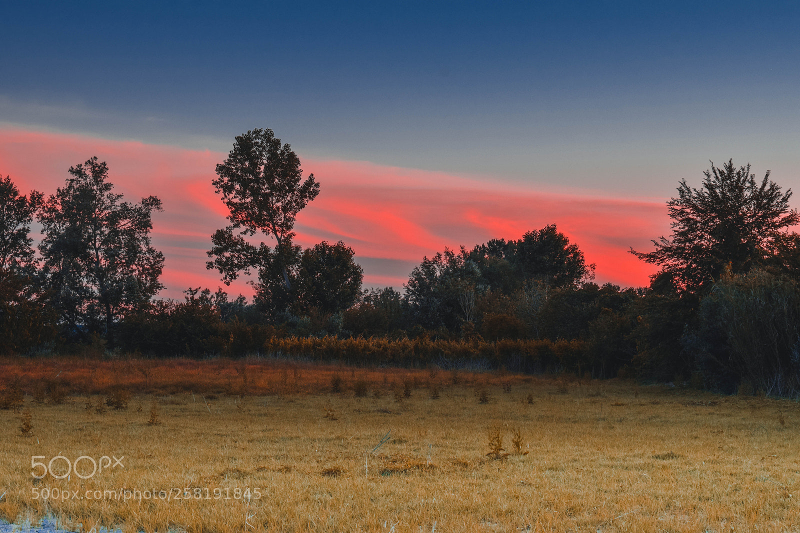 Nikon D3300 sample photo. Epic sunset photography