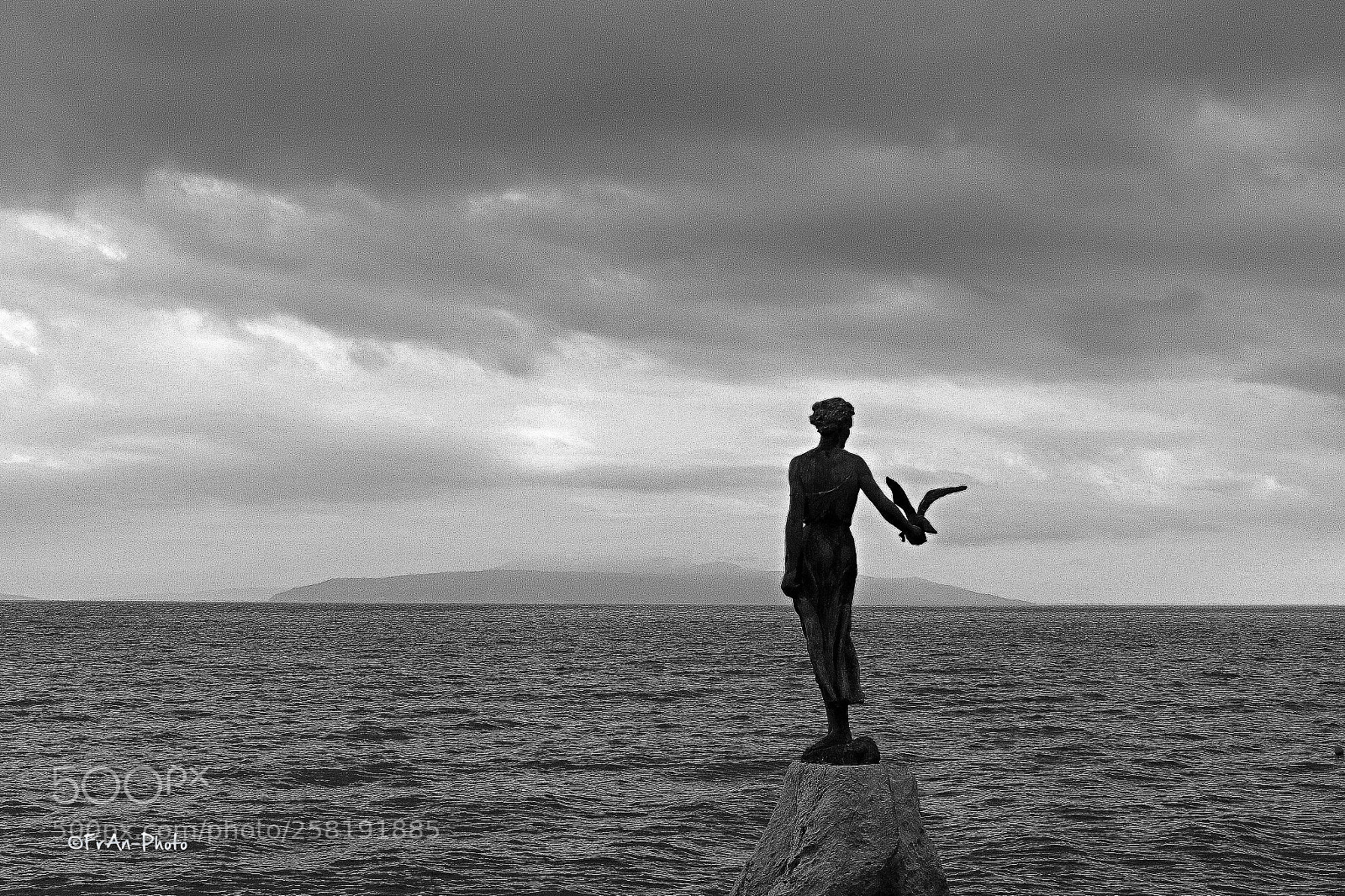 Canon EOS 70D sample photo. Maiden with the seagull photography