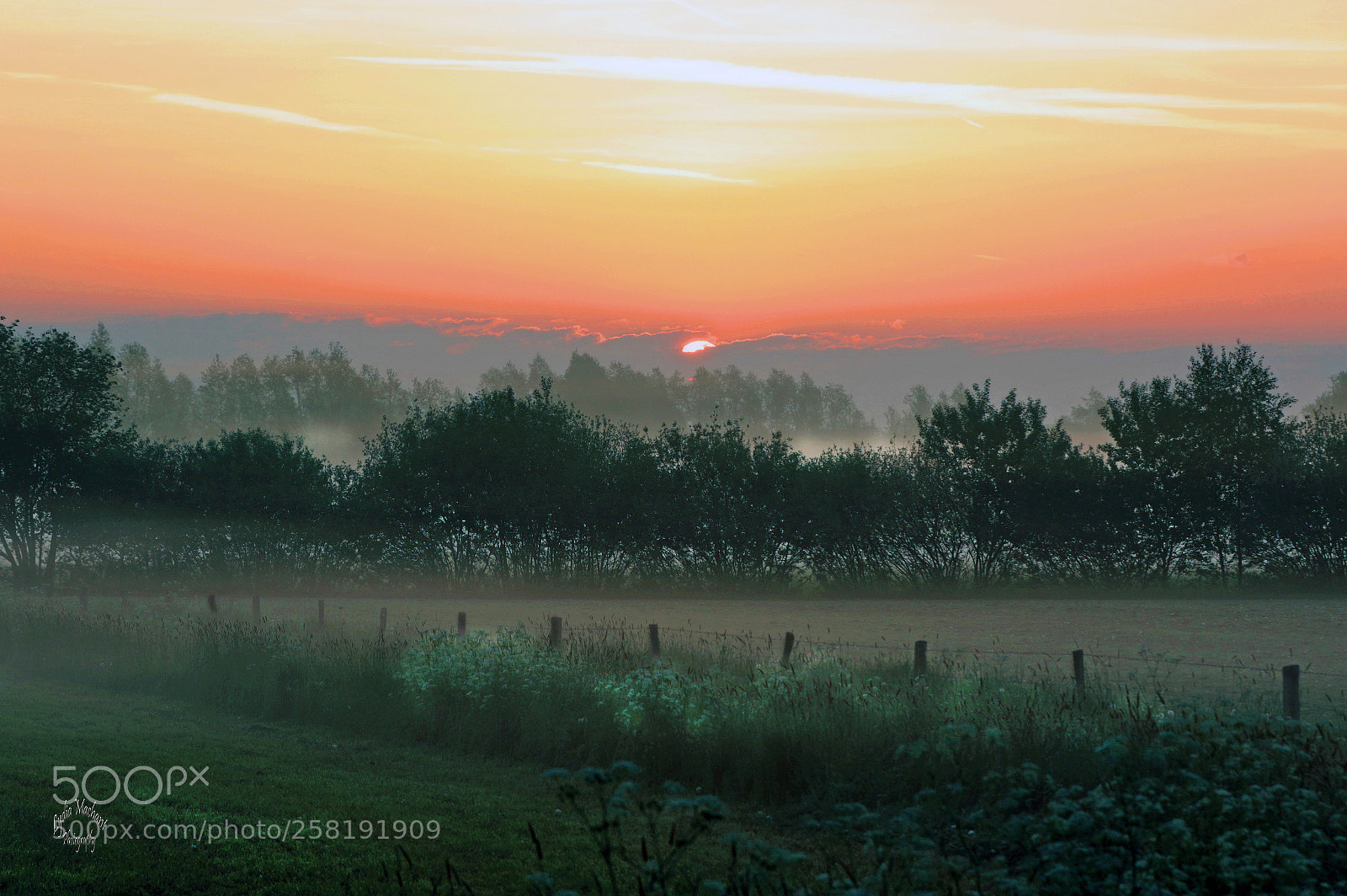 Canon EOS 7D Mark II sample photo. See how beautiful nature photography