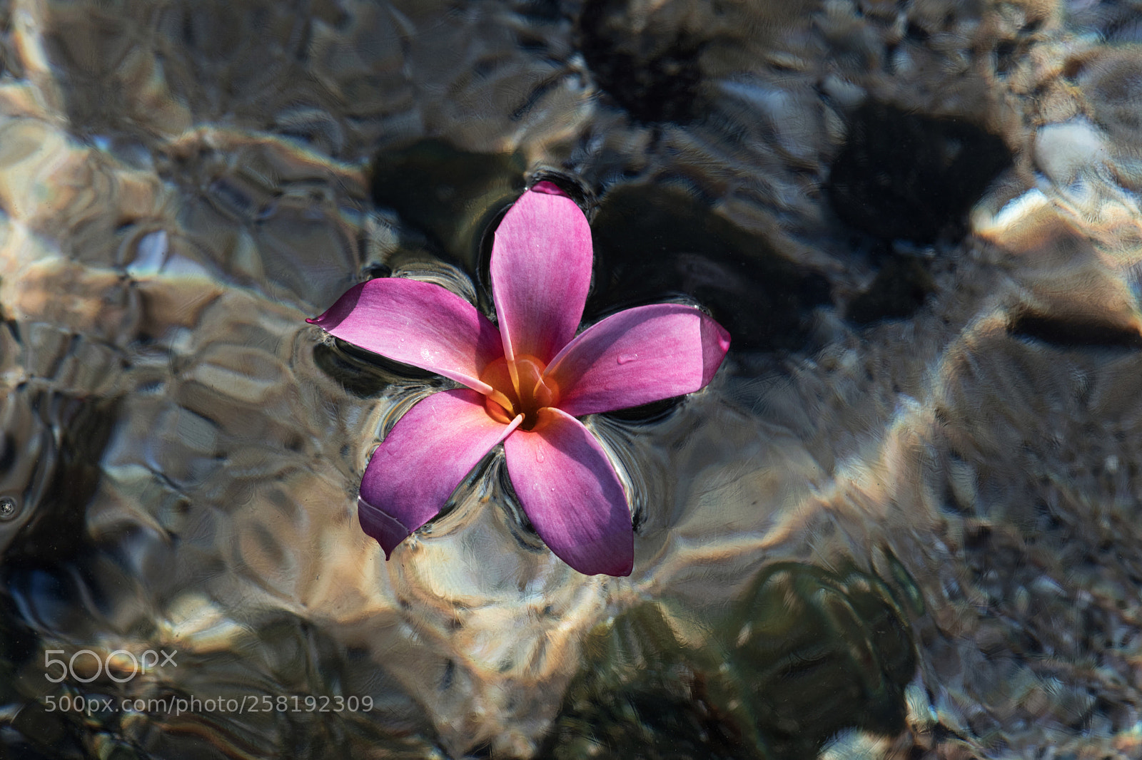 Nikon D850 sample photo. Drift away photography