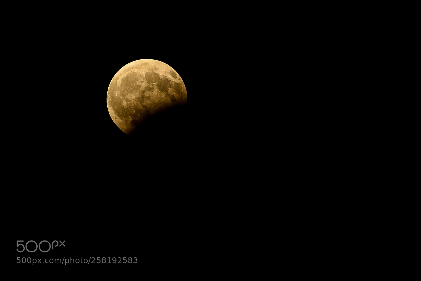 Nikon D750 sample photo. Moon photography