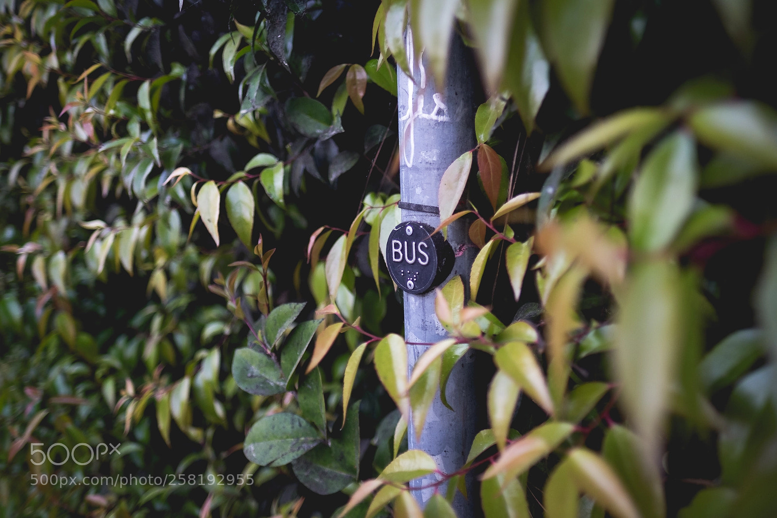 Fujifilm X-T1 sample photo. Bus photography
