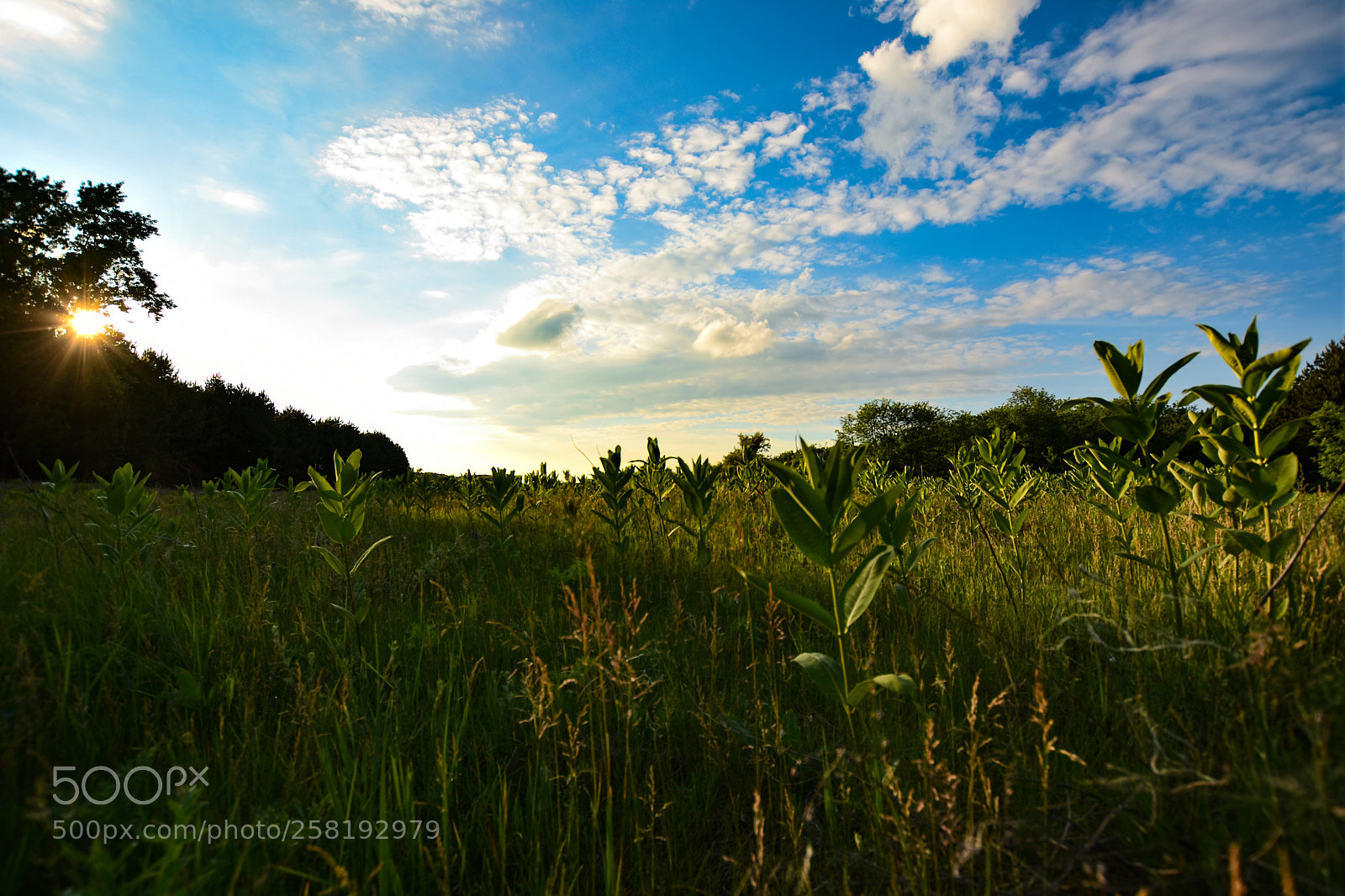 Nikon D7200 sample photo. Untitled photography