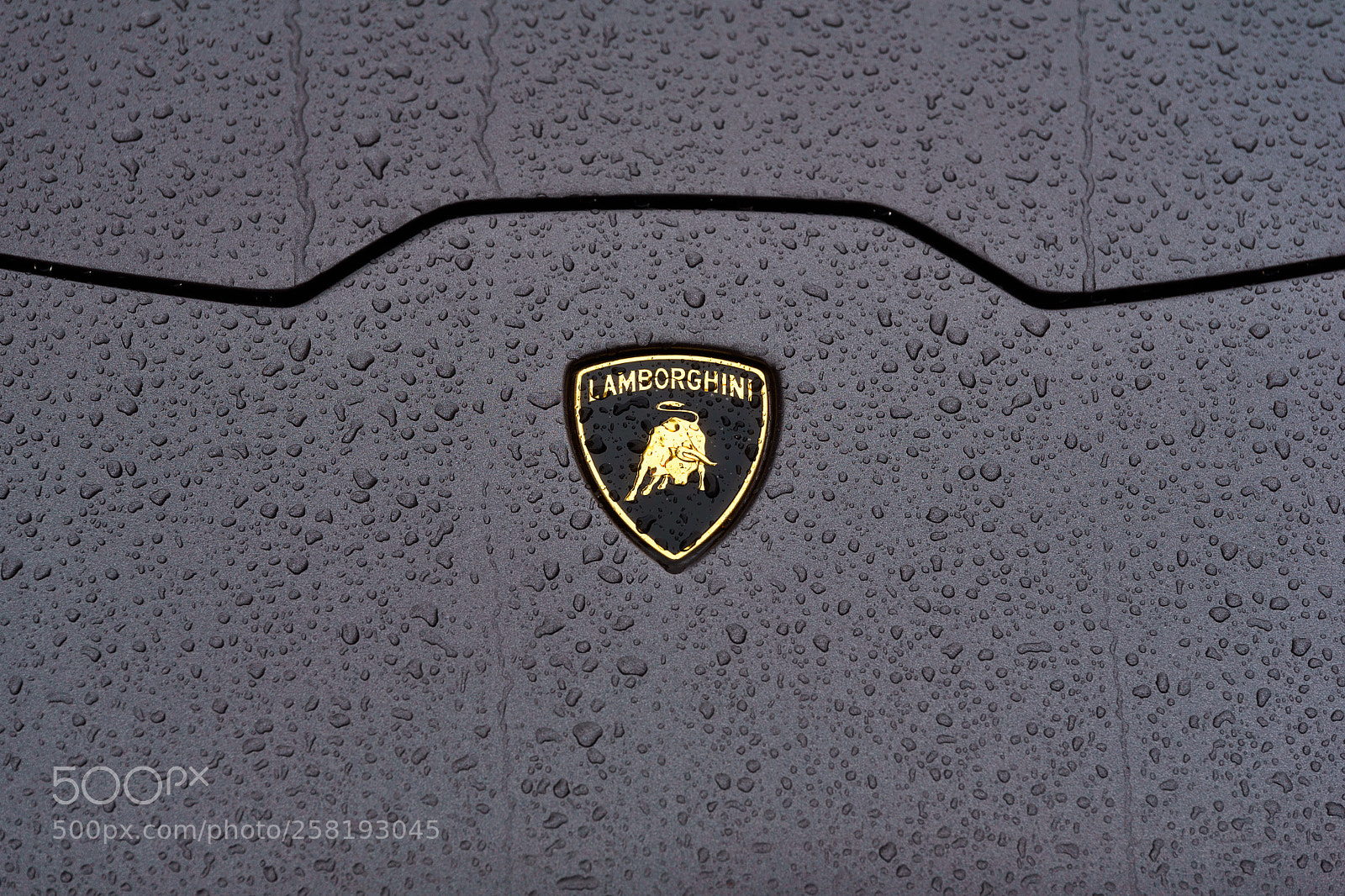 Nikon D750 sample photo. Poder - power photography