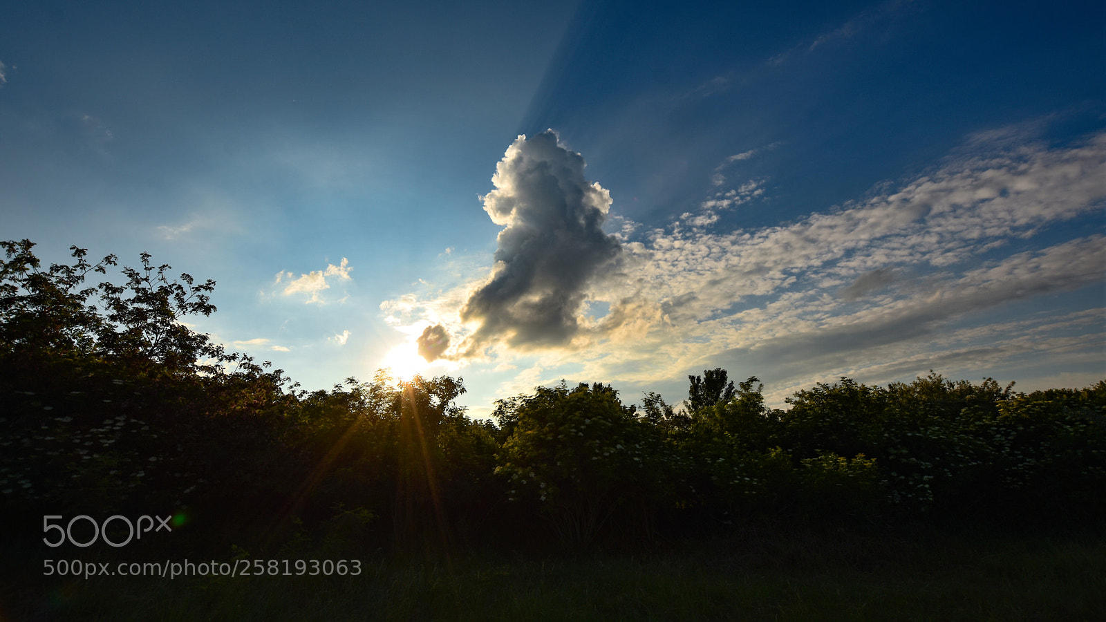 Nikon D7200 sample photo. Untitled photography
