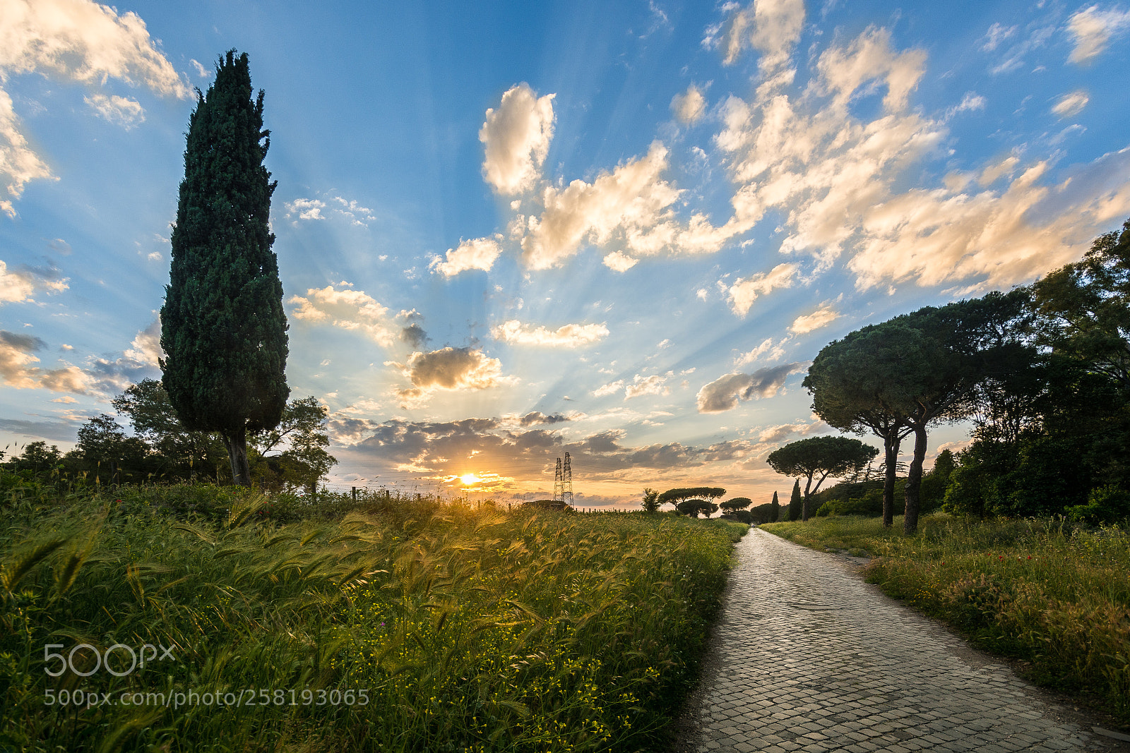 Nikon D7100 sample photo. Rays of light photography