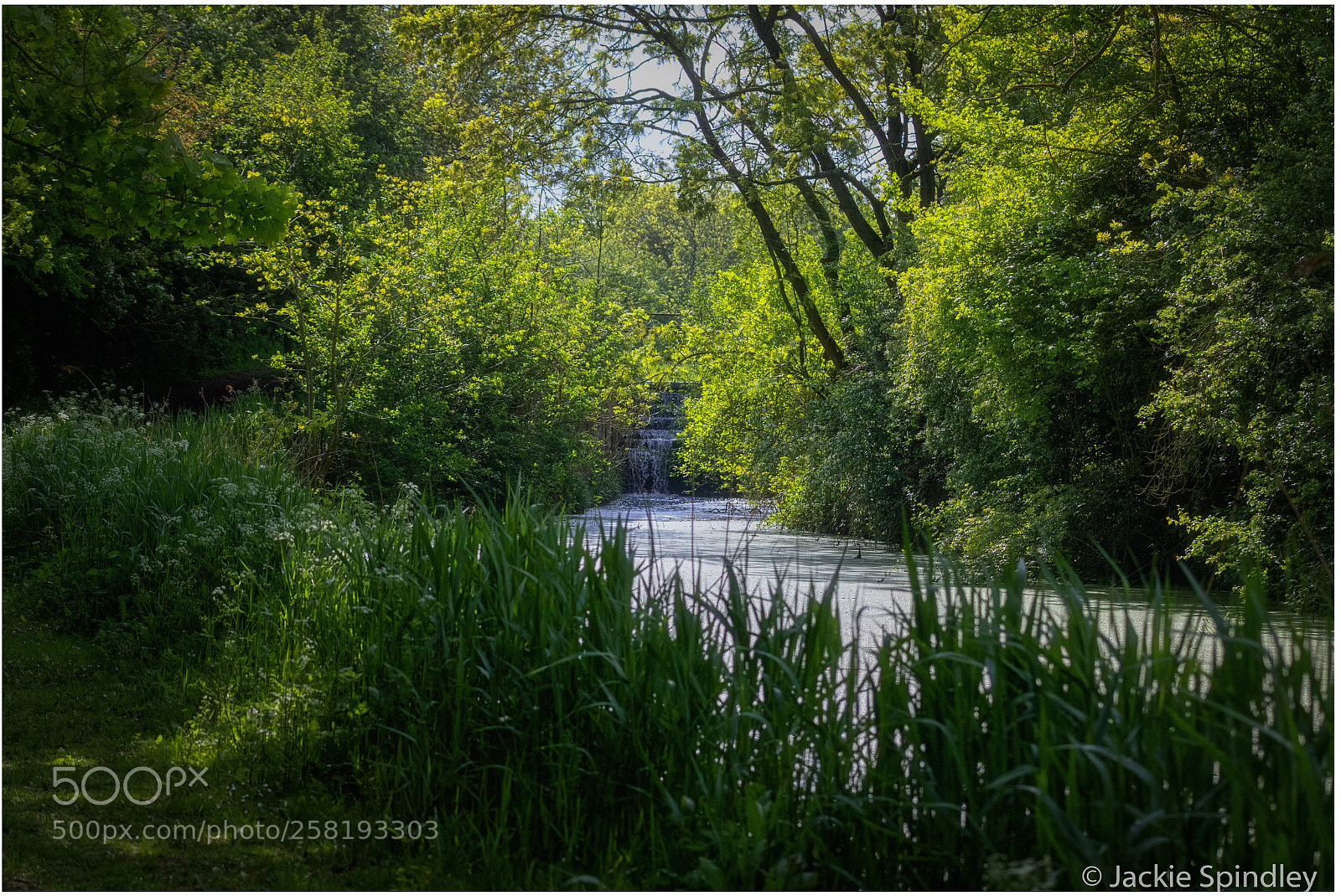 Canon EOS 7D Mark II sample photo. Grantham canal photography