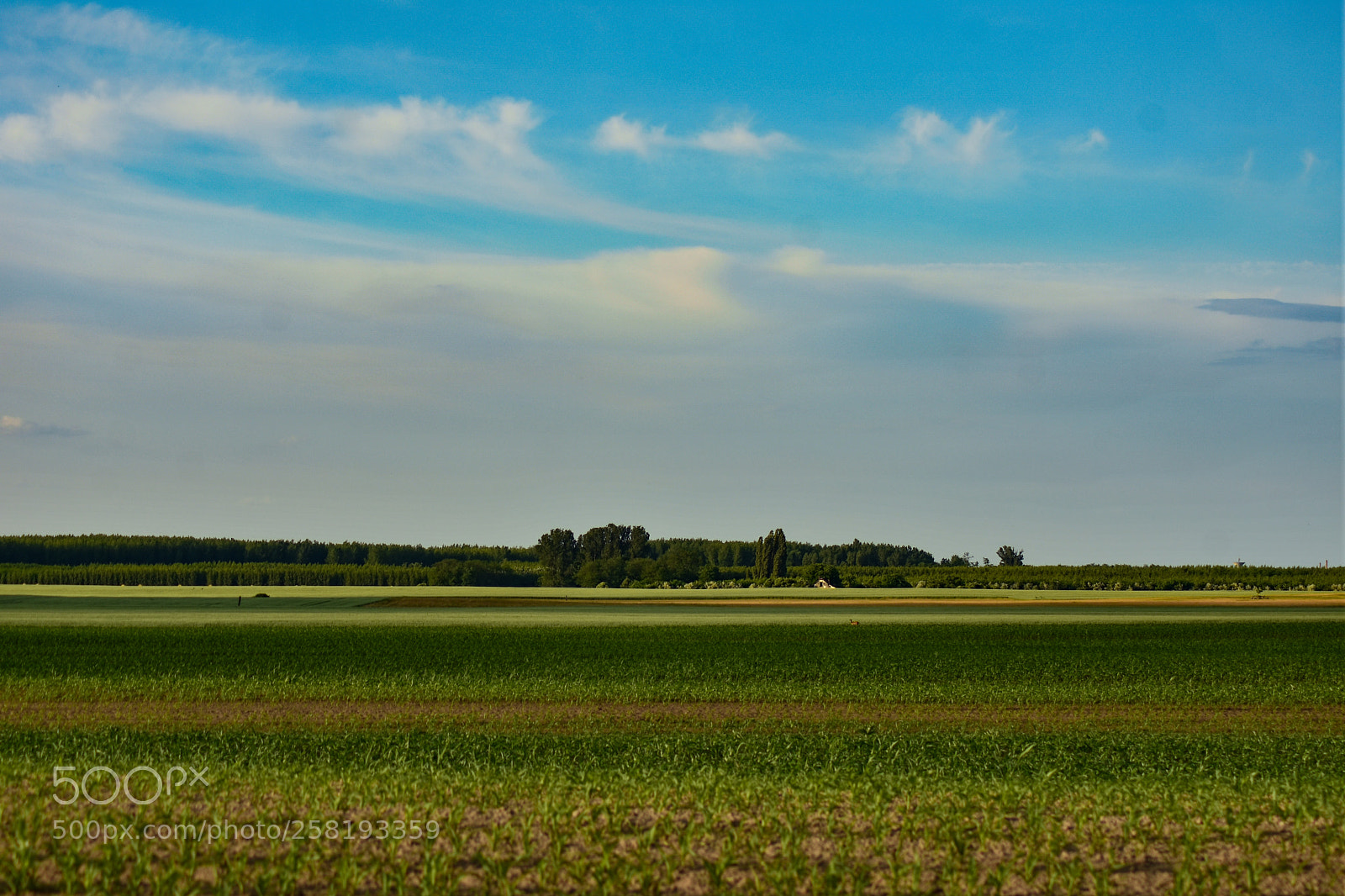 Nikon D7200 sample photo. Untitled photography