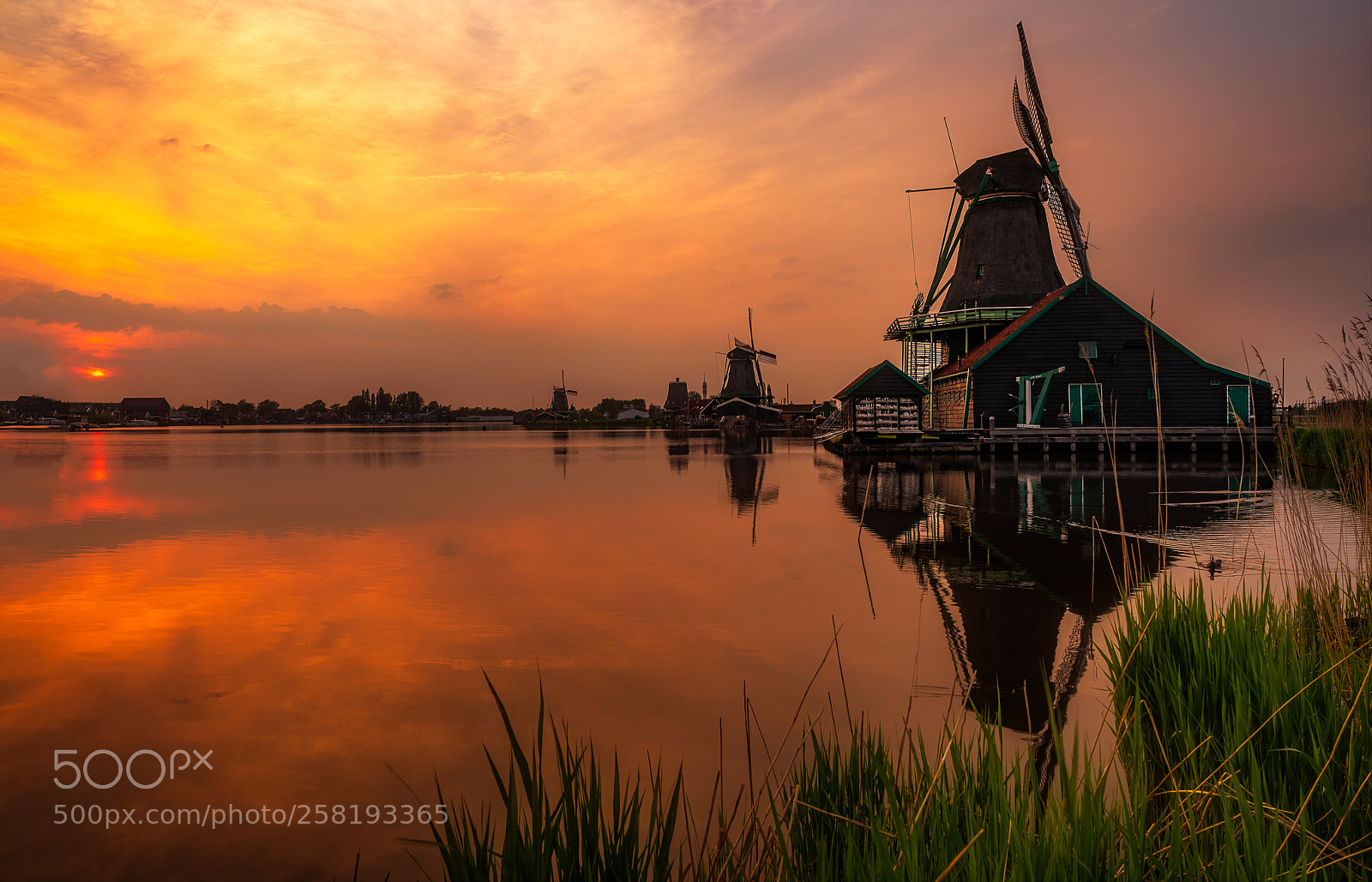 Sony a7R II sample photo. Dutch sunset photography