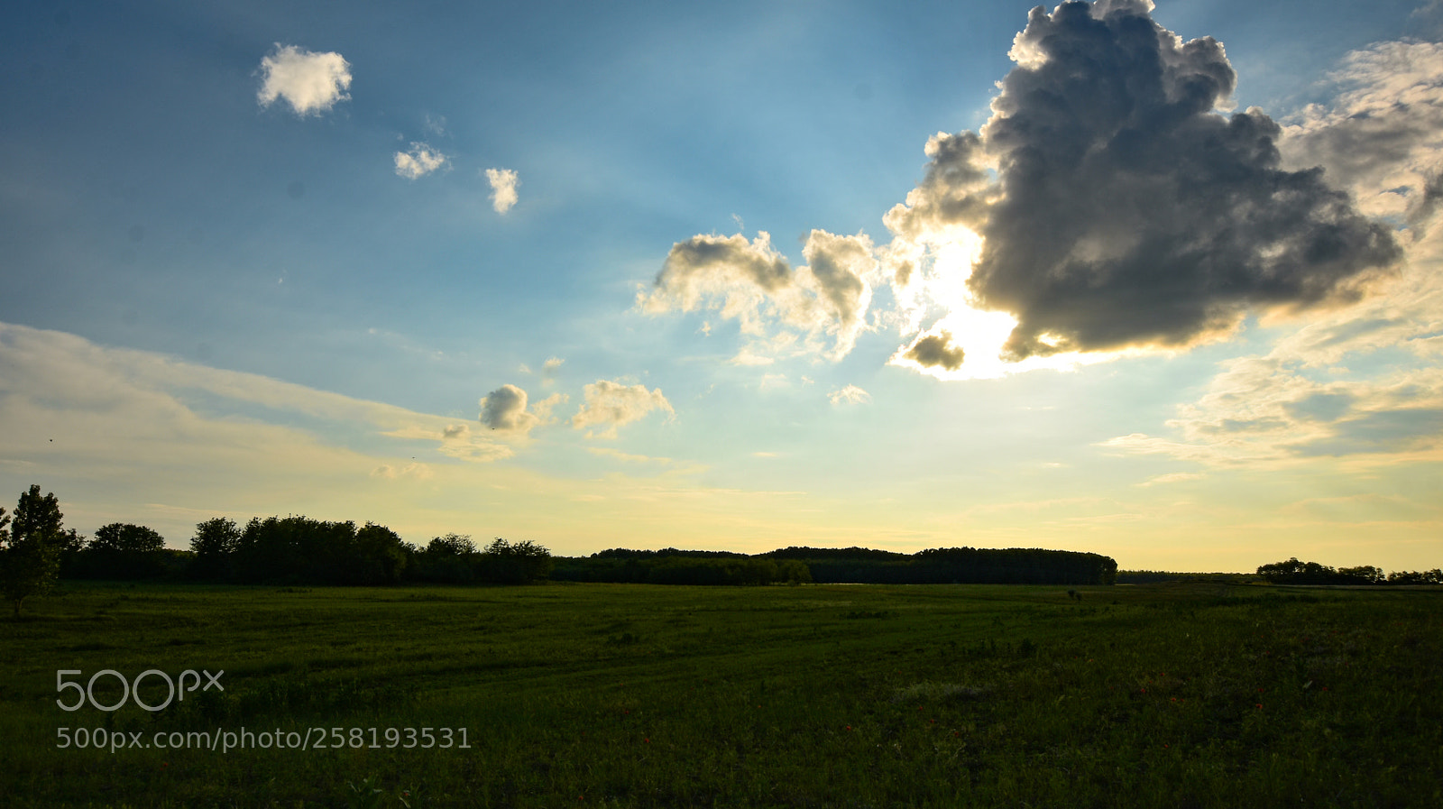 Nikon D7200 sample photo. Untitled photography